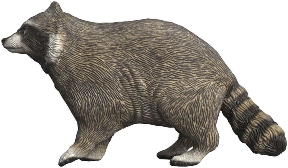 Schleich® Spielfigur »WILD LIFE, Waschbär (14937)«