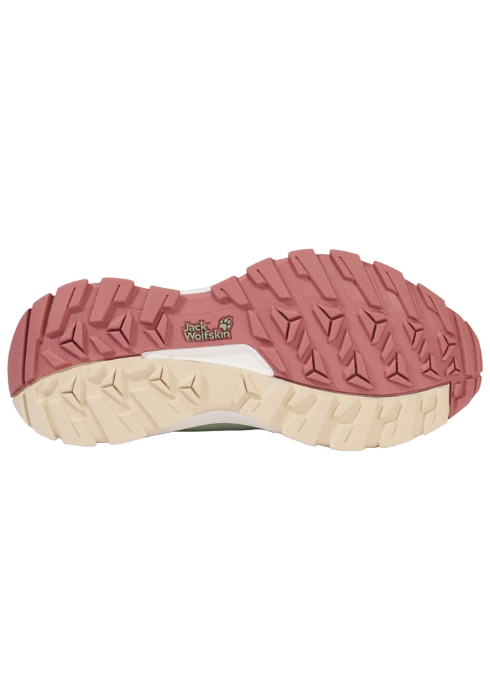Jack Wolfskin Wanderschuh »WILD HIKE TEXAPORE LOW W«
