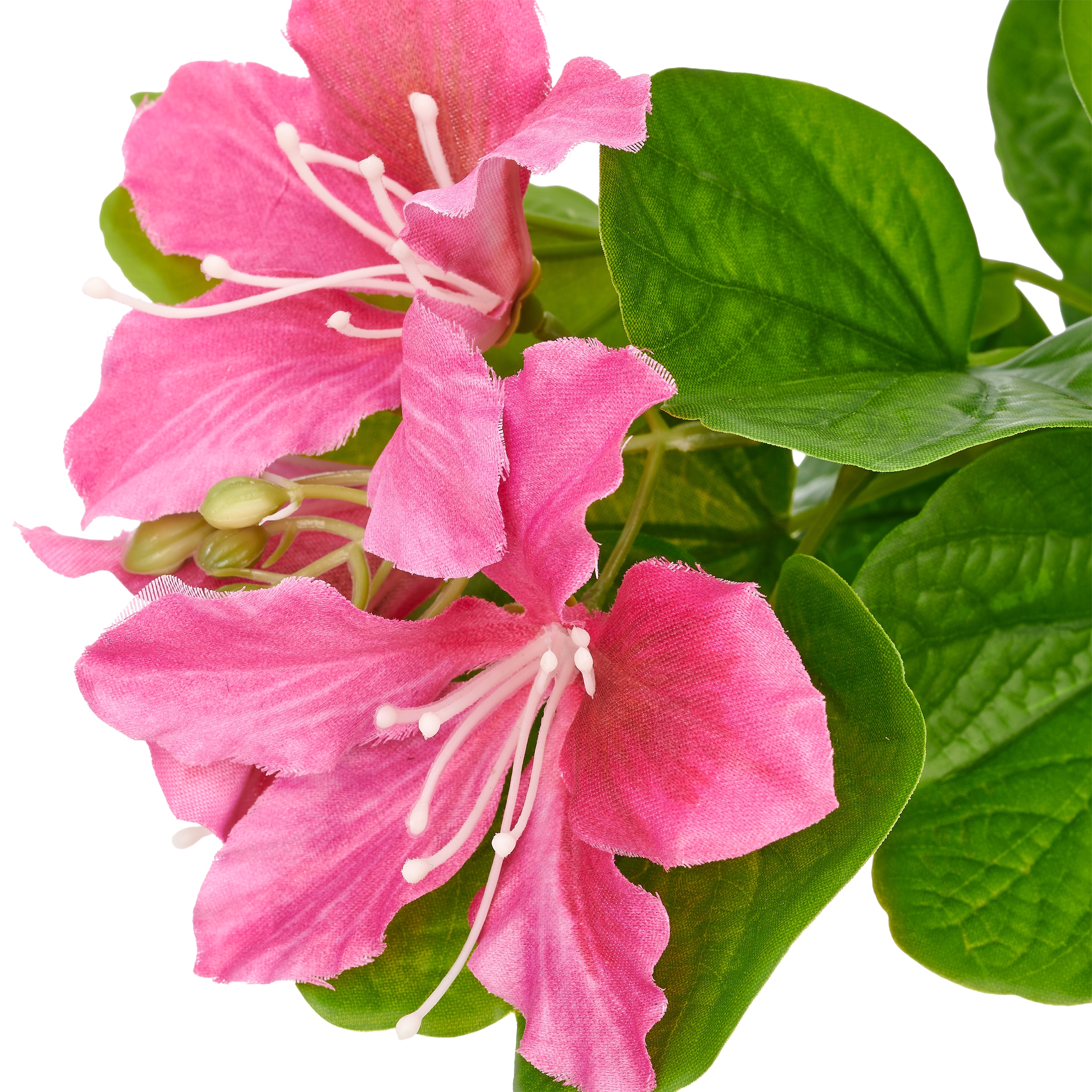 Creativ green Kunstbaum »Bauhinia« mit traumhaft schönen Blüten