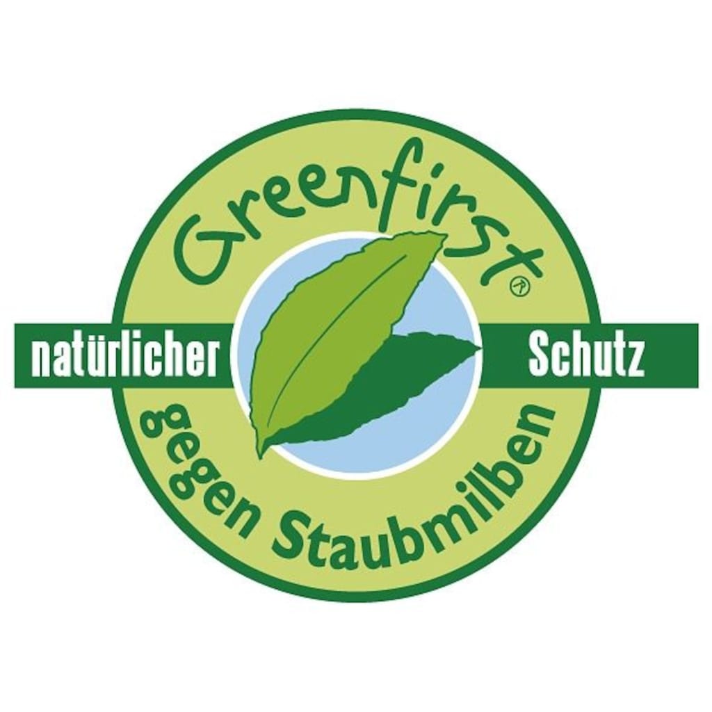 f.a.n. Schlafkomfort Kunstfaserkopfkissen »Greenfirst«, Bezug: 100% Baumwolle, (1 St.)