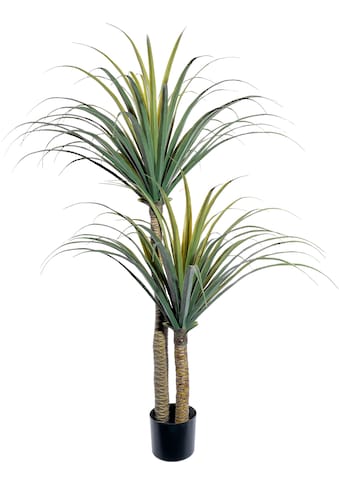 Künstliche Zimmerpflanze »Dracaena draco«