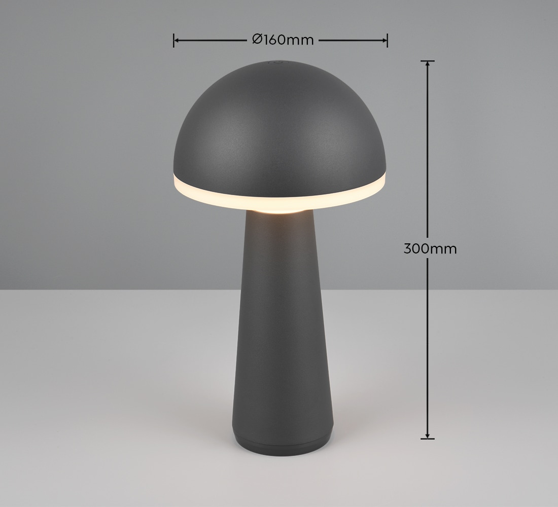 REALITY Leuchten LED Außen-Tischleuchte »FUNGO« LED-Board 1 Stk. warmweiß - kaltweiß Outdoor Akku Tischlampe inkl Ladestation USB-C, Lichtfarbe einstellbar