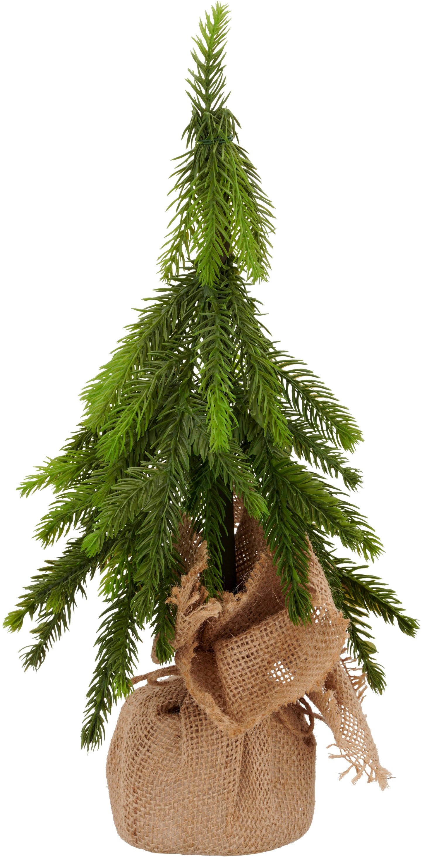 Creativ green Winterliche Kunstpflanze »Tannenbäumchen« im Set aus 2 Größen