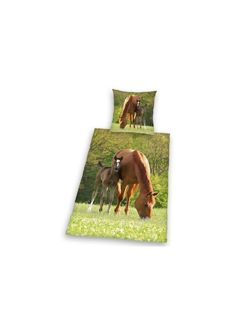 Herding Young Collection Kinderbettwäsche »Pferd mit Fohlen«, (2 tlg.), für Pferdefreunde kaufen