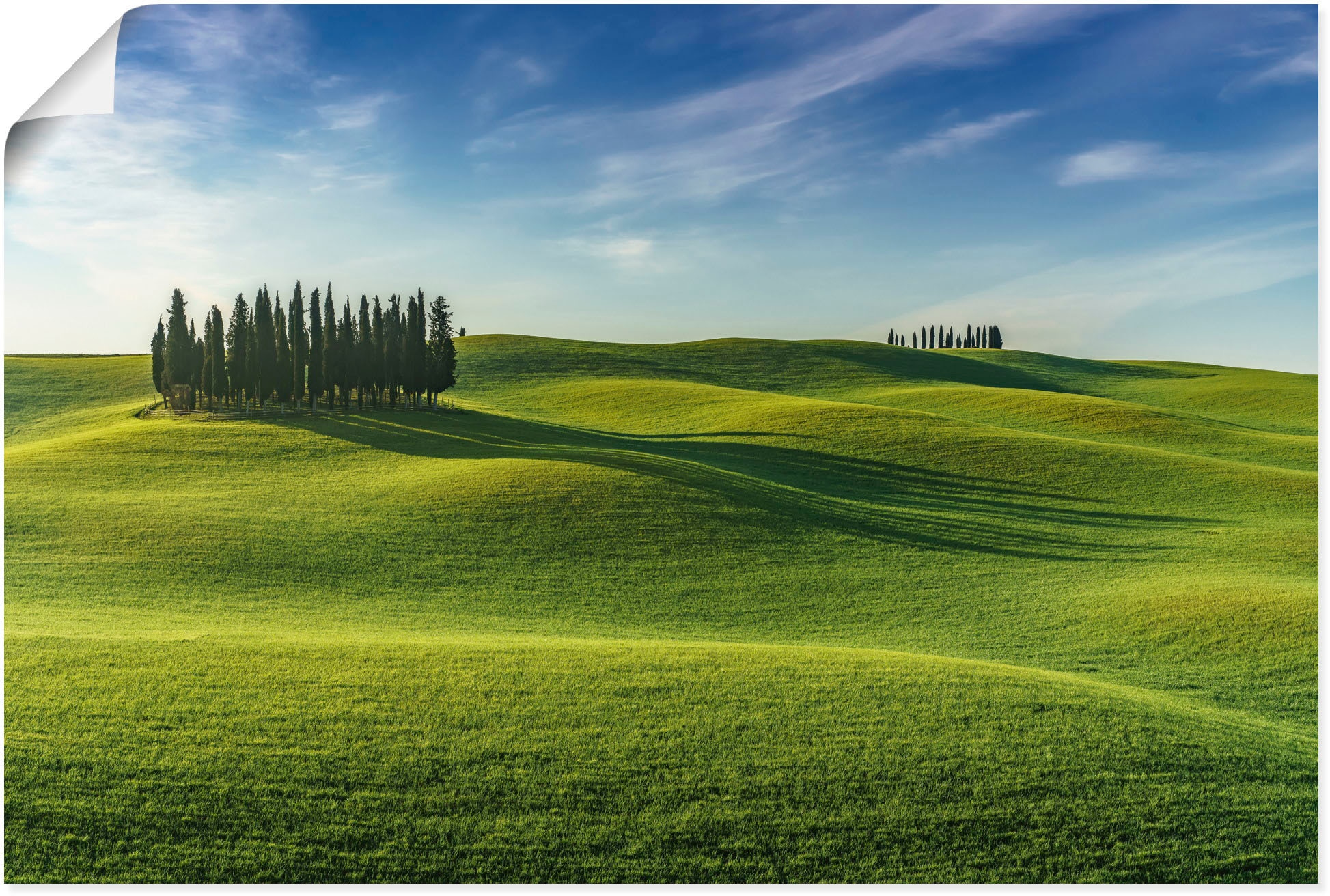 Poster »Val d'Orcia Toskana Italien«, Wiesen & Baumbilder, (1 St.), als Alubild,...