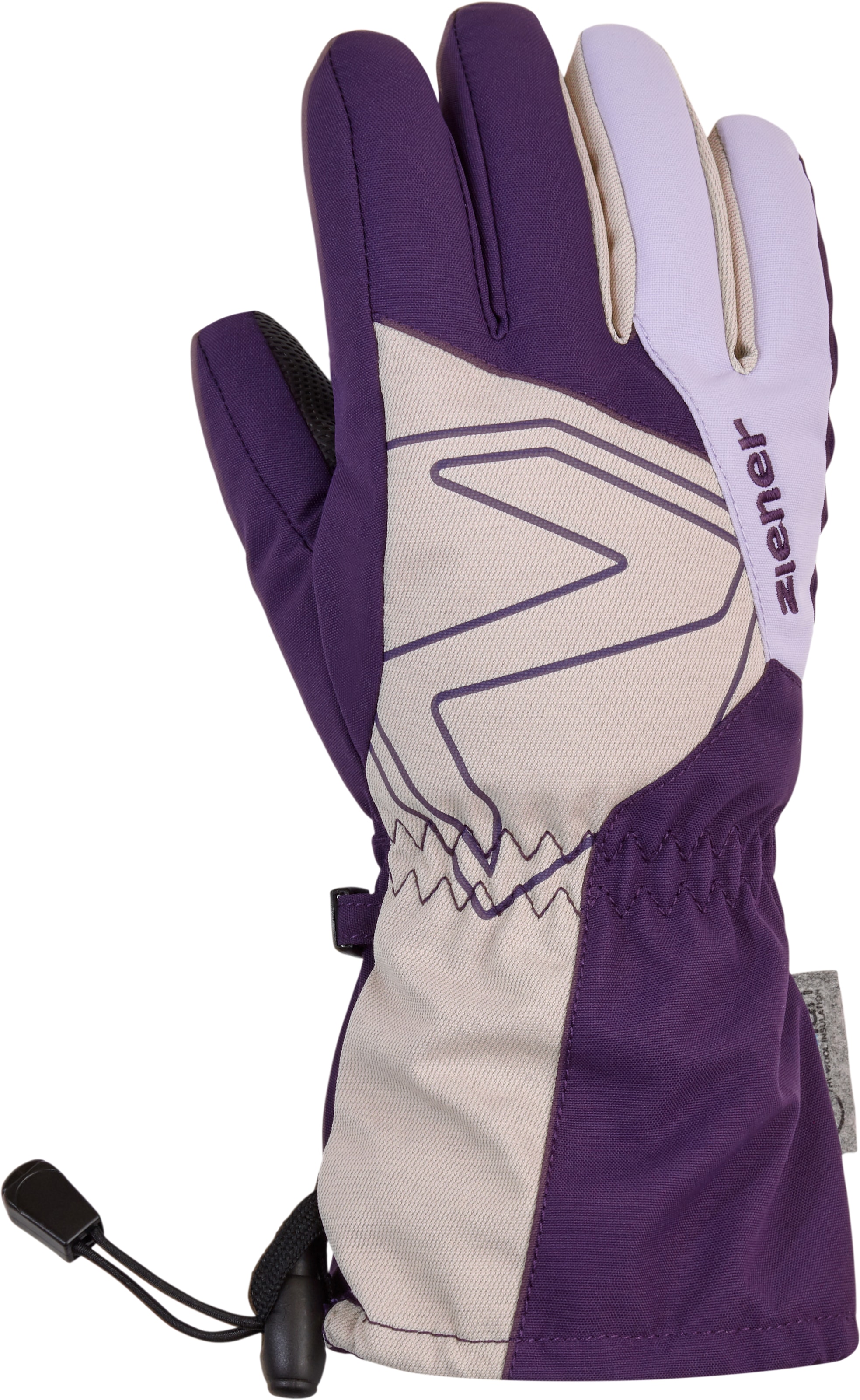 Ziener Skihandschuhe »LAVAL AS(R) AW«