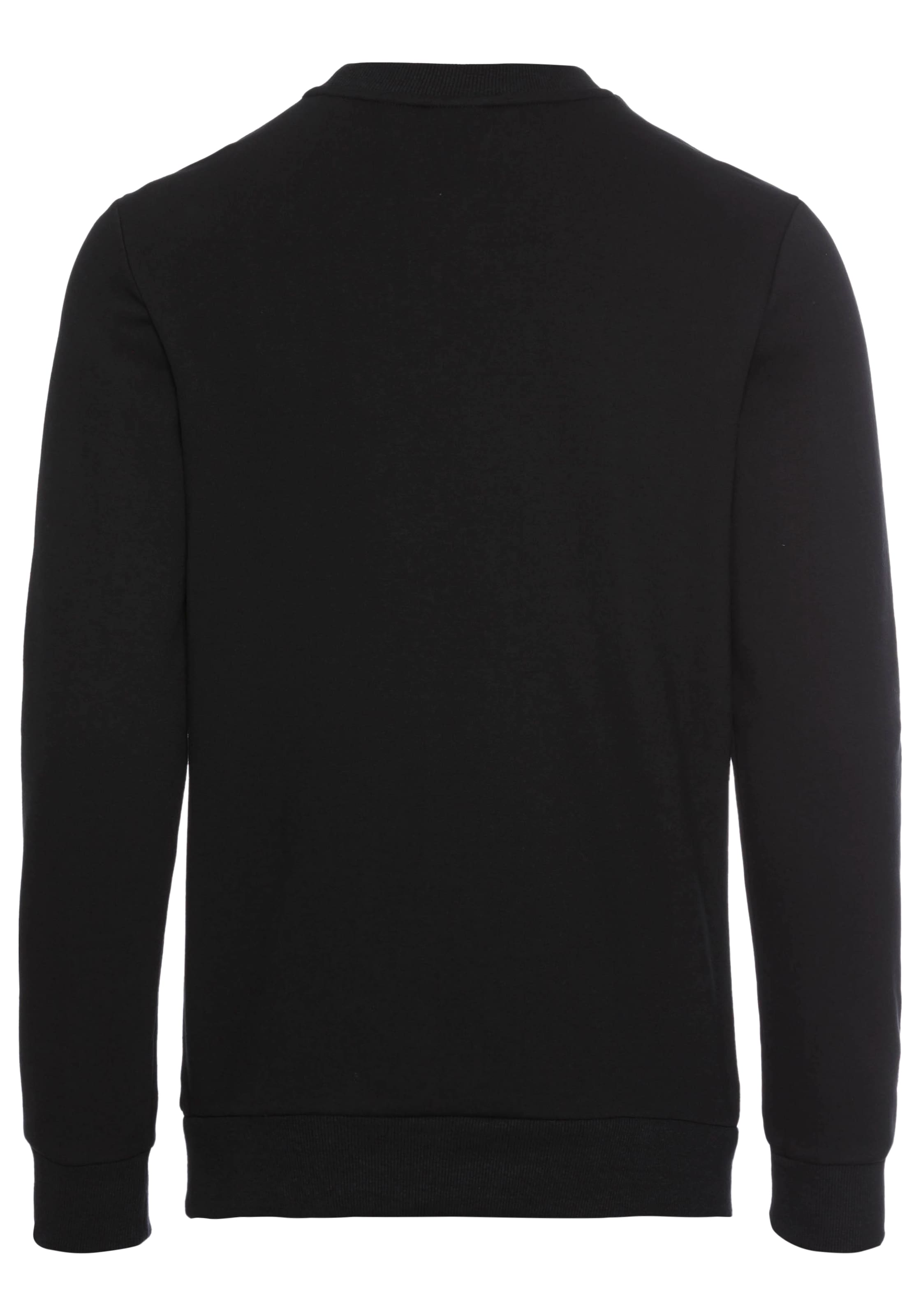 Bruno Banani Sweatshirt, mit Logoprint - NEUE KOLLEKTION