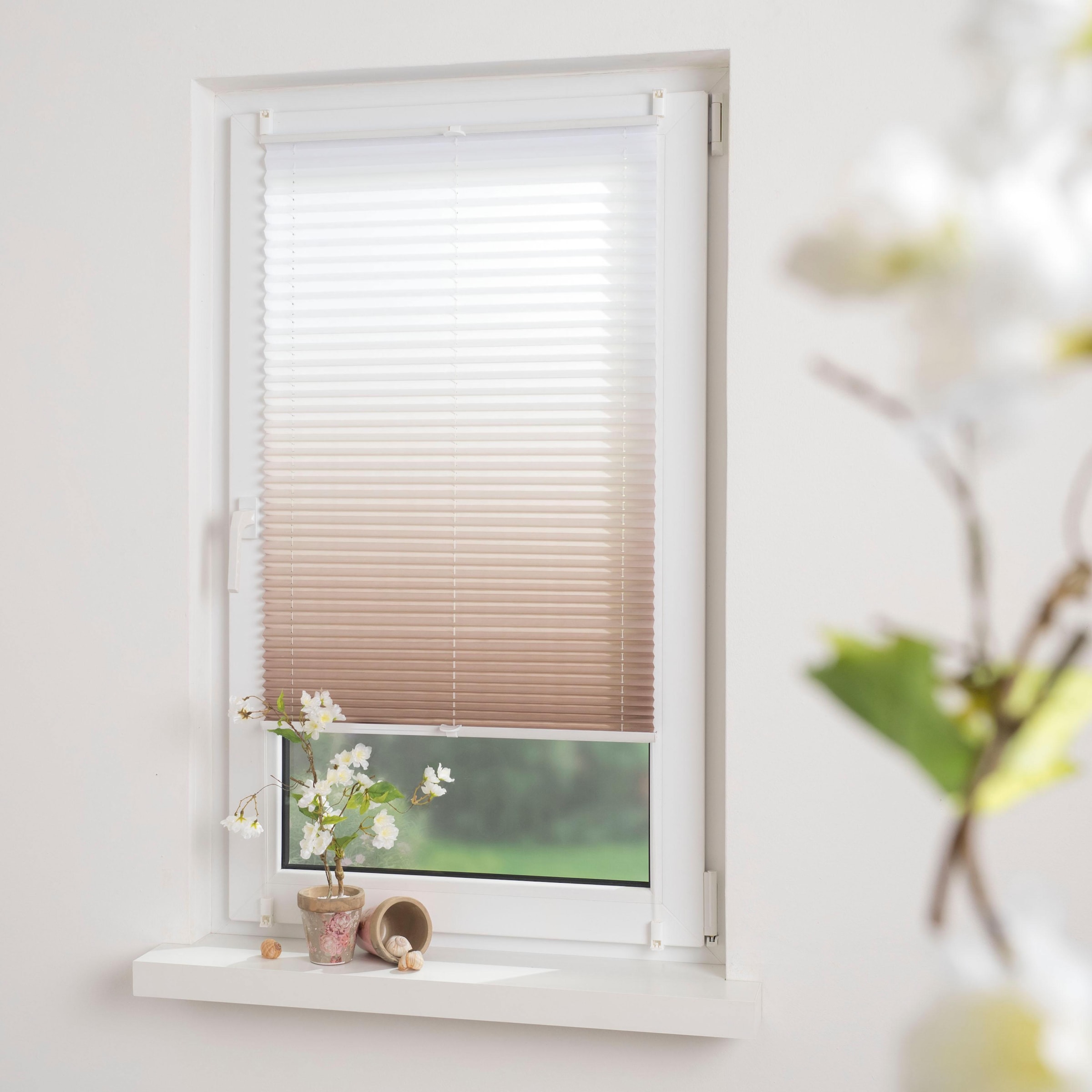 Liedeco Plissee »Farbverlauf« Lichtschutz ohne Bohren verspannt