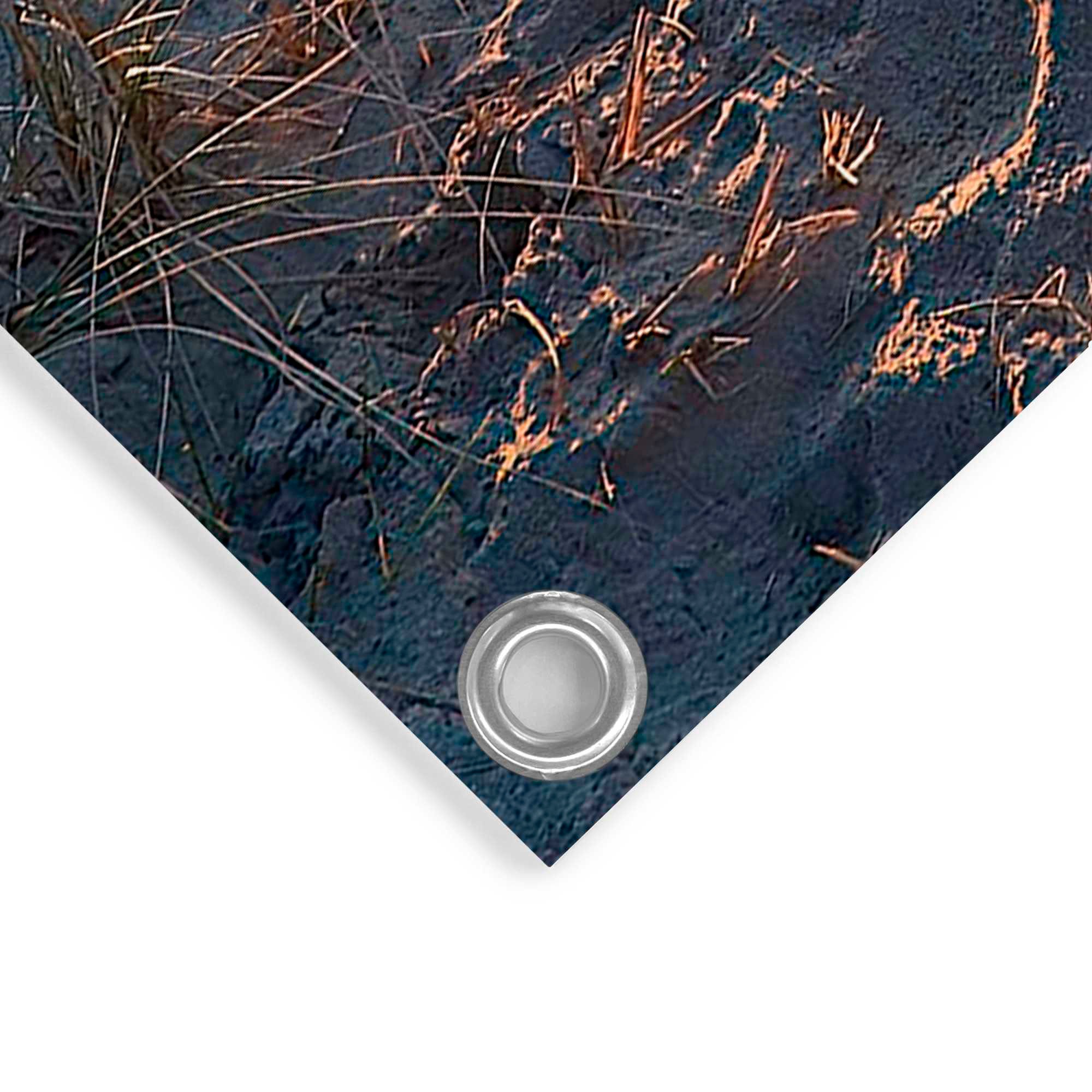 Reinders! Poster »Dünenweg zum Meer«