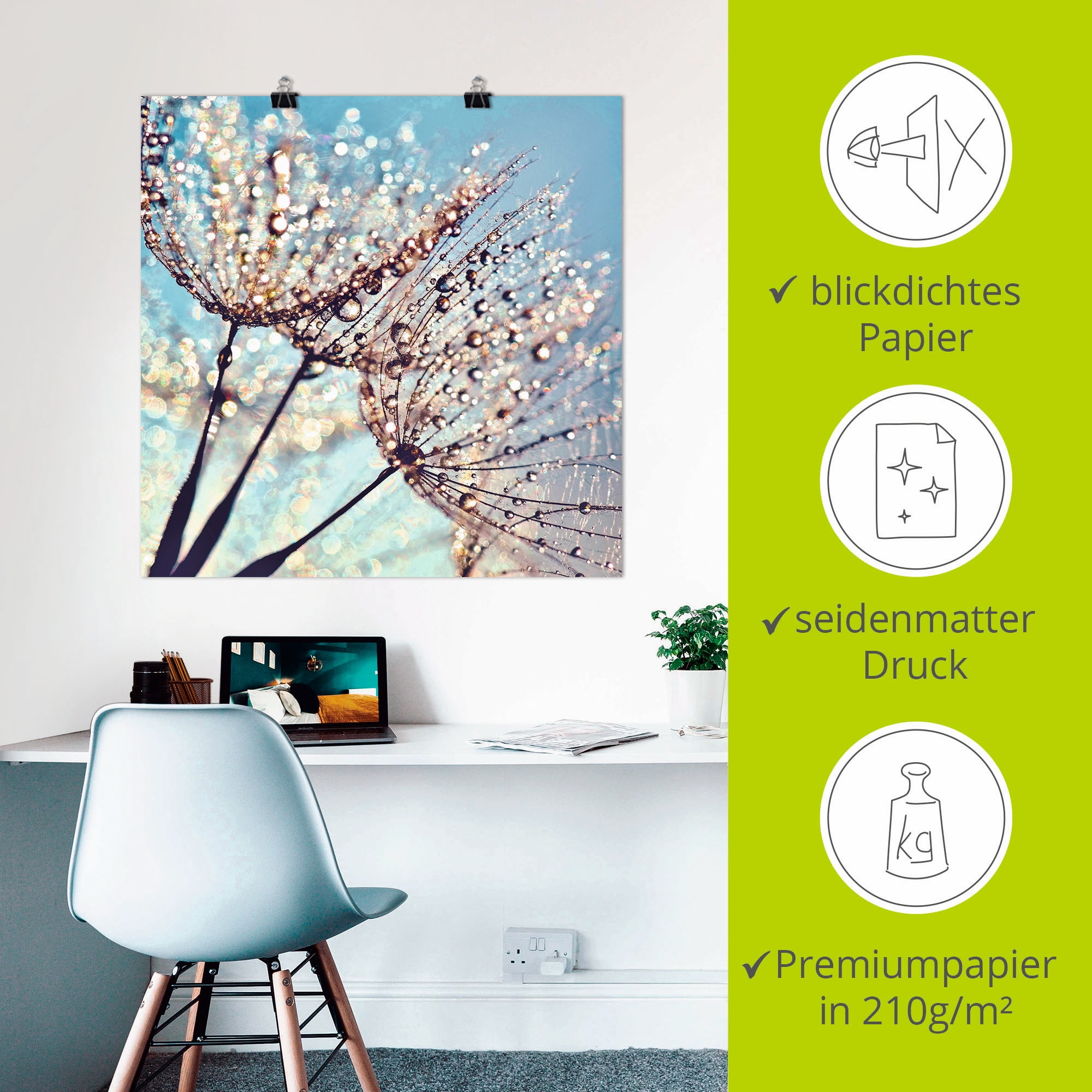Artland Wandbild »Pusteblume Tröpfchenfänger«, Blumen, (1 St.), als Alubild, Outdoorbild, Leinwandbild, Poster in verschied. Größen