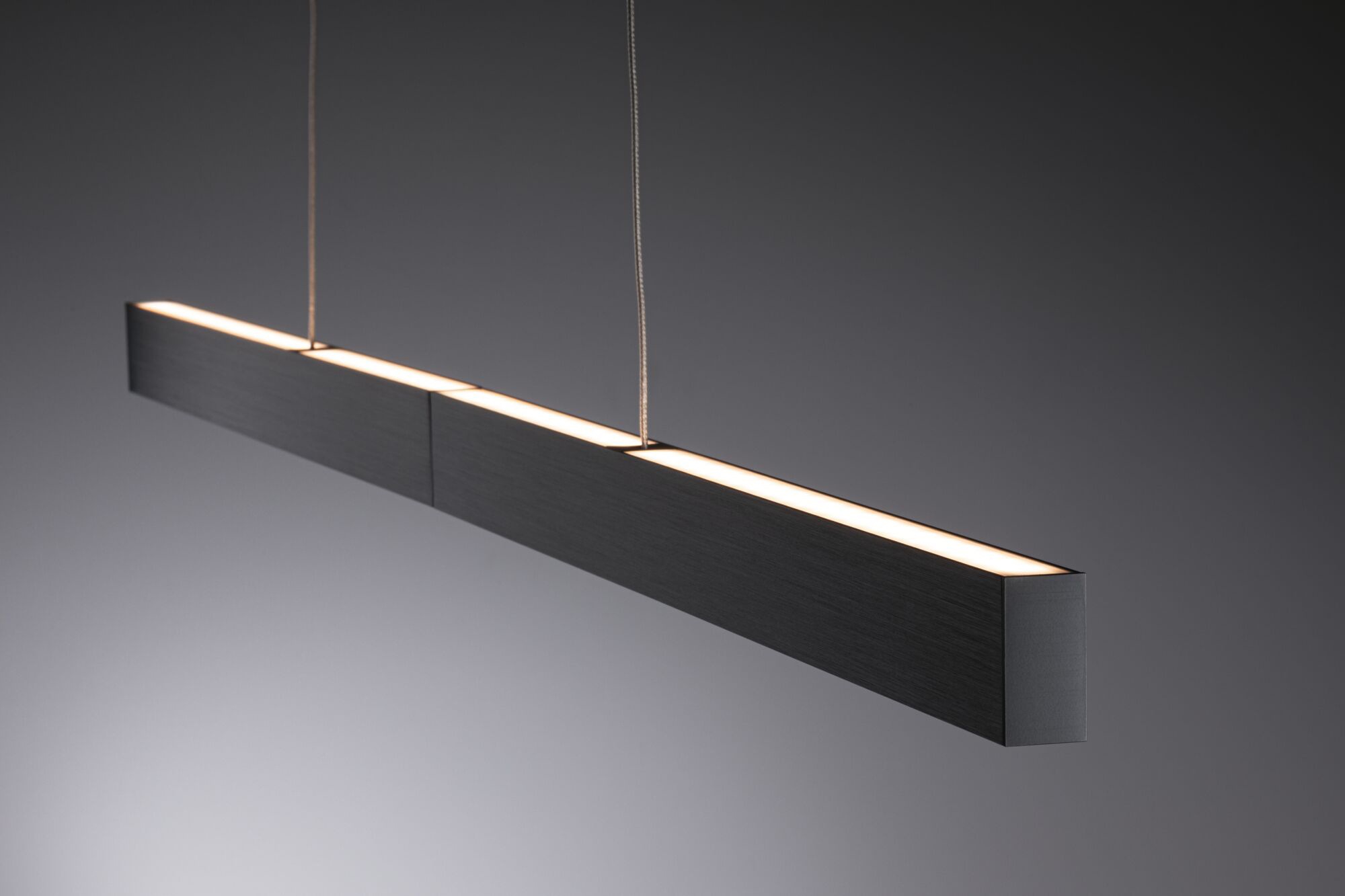 Paulmann LED Pendelleuchte »Aptare«