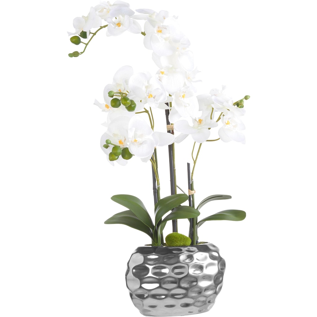 Creativ green Kunstpflanze »Orchidee«