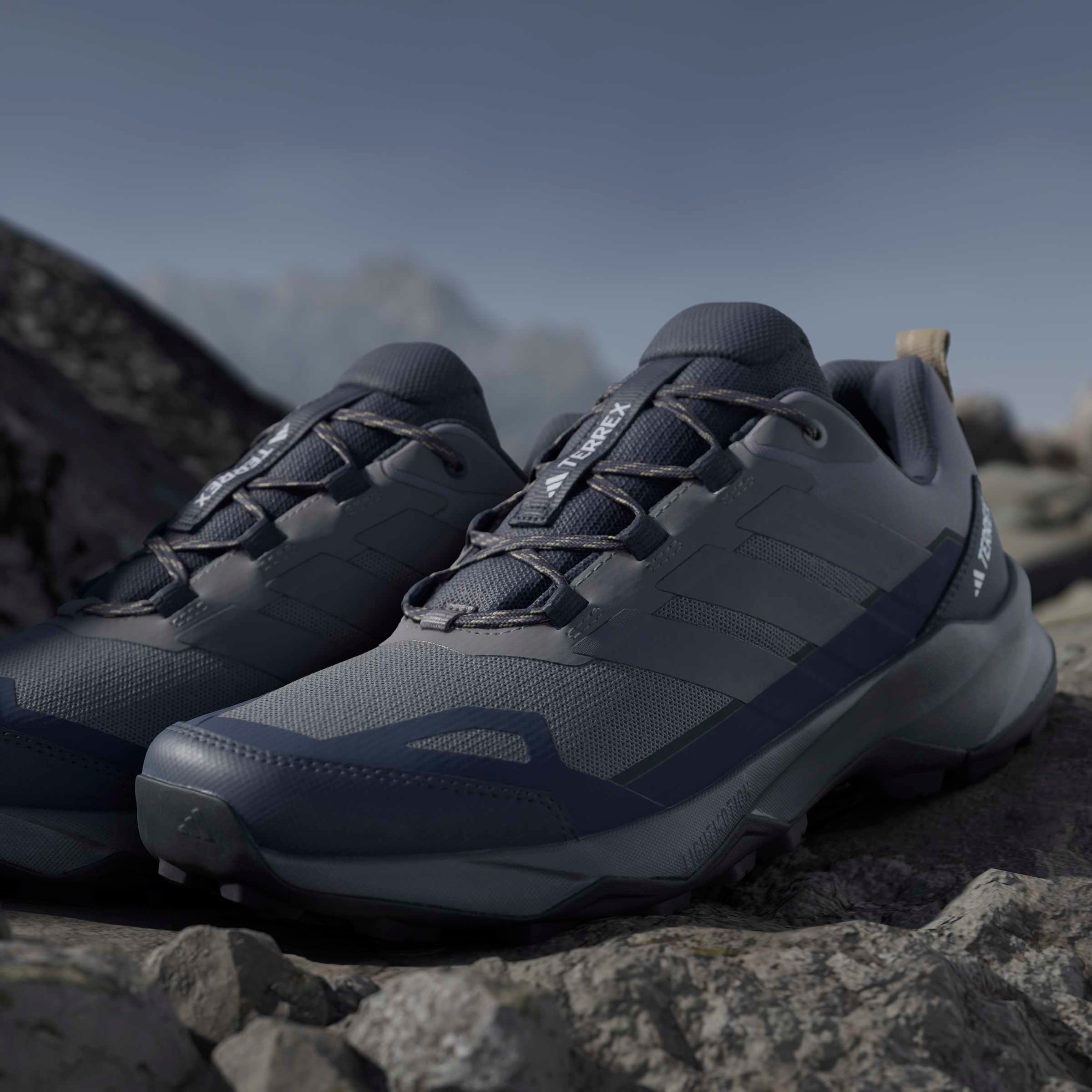 adidas TERREX Wanderschuh »TERREX SKYCHASER AX5«