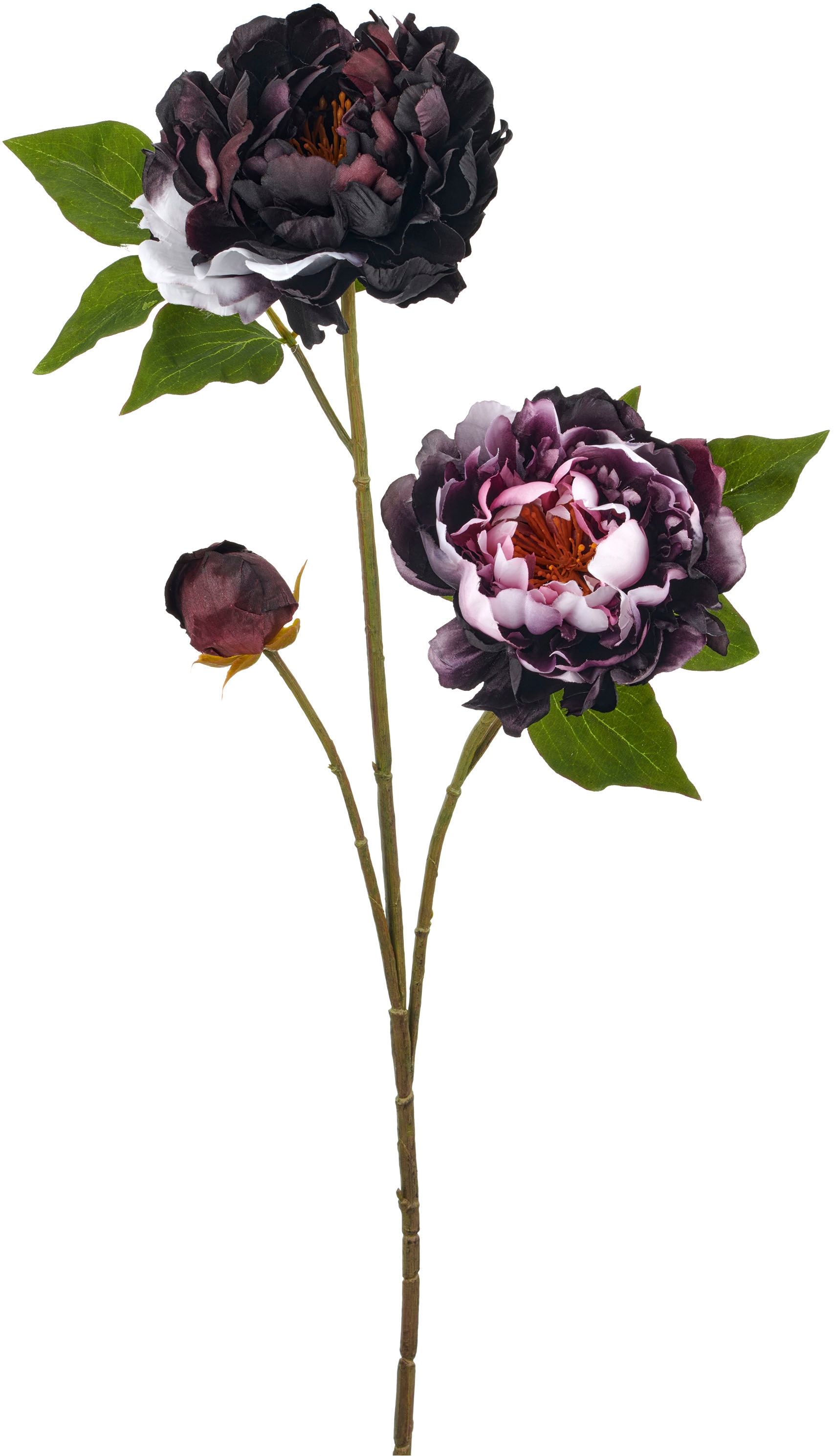 Creativ green Kunstblume »Peonie« mit traumhaft schöner Blüte