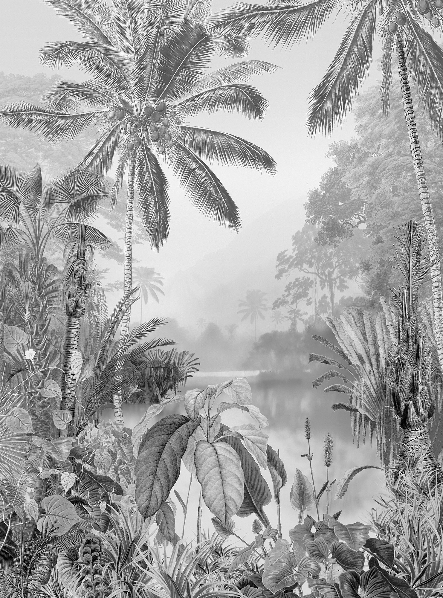 Komar Vliestapete »Lac Tropical Black & White«, 200x270 cm (Breite x Höhe), Vliestapete, 100 cm Bahnbreite