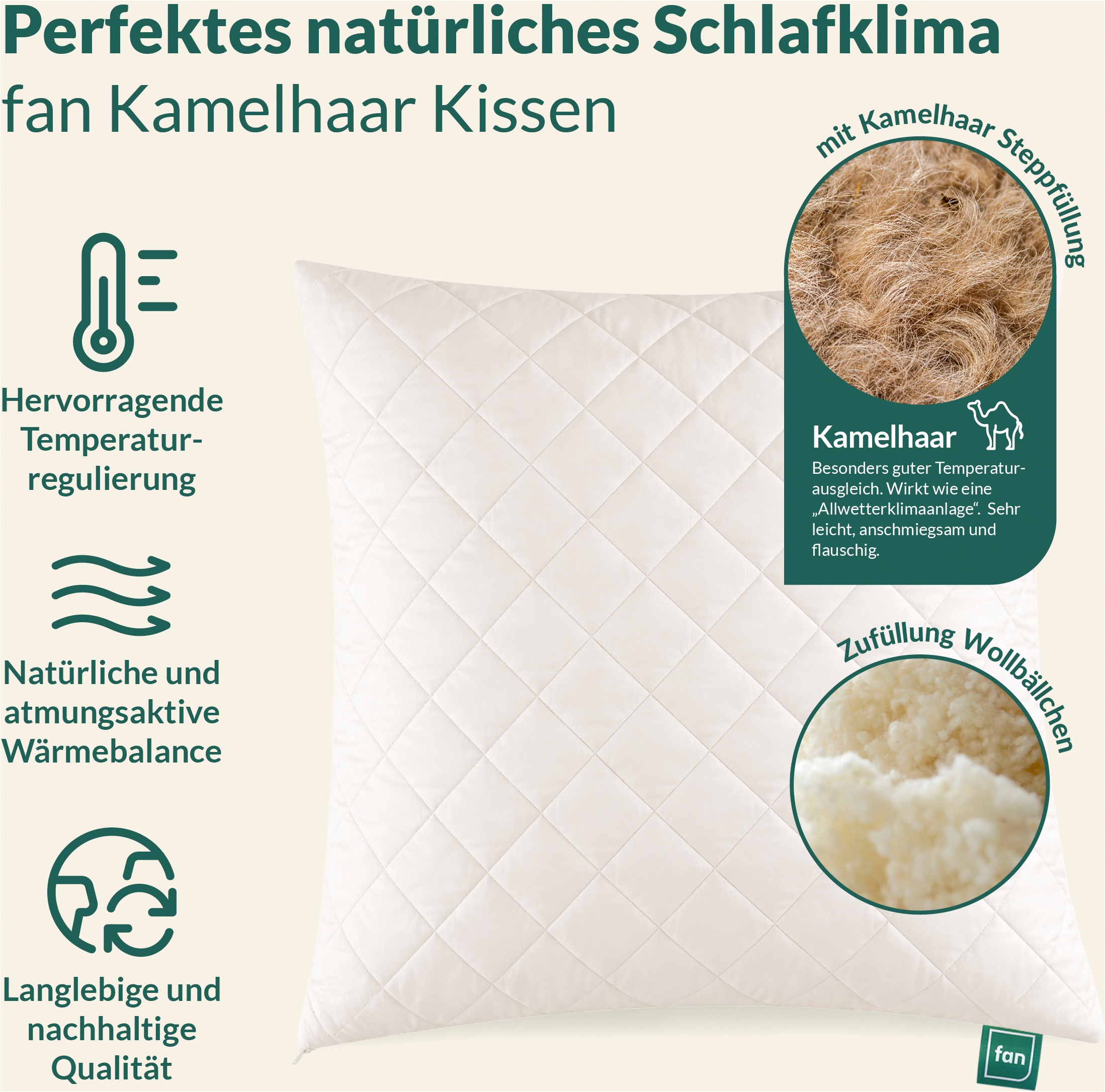 fan Naturfaserkissen »Gobi, Kopfkissen in 40x80 & 80x80 cm, Made in Germany« Füllung: 97Wolle3sonstigeFasern 1 Stk. tlg. Kissenbezug aus Baumwolle mit Kamelhaar versteppt, Füllung aus Wolle