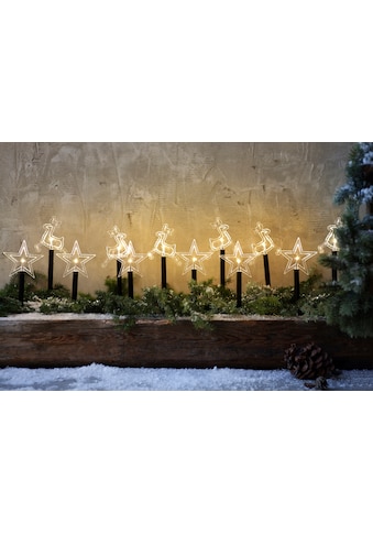 LED Gartenleuchte »Leuchtstab Stern, Weihnachtsdeko aussen«, Warmweiß, mit 12 Erdspießen kaufen