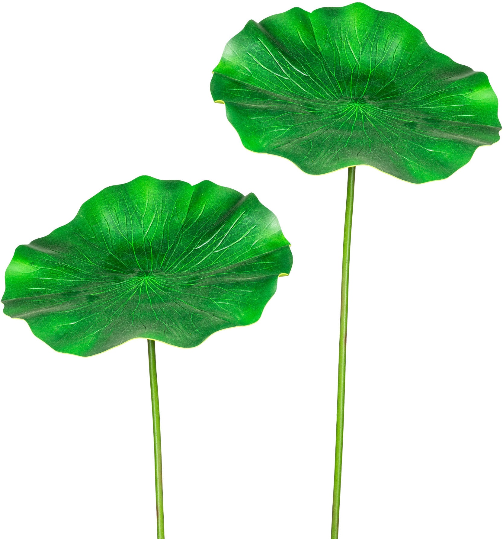 »Lotusblatt«, bequem bestellen green 2er Set Creativ Kunstzweig