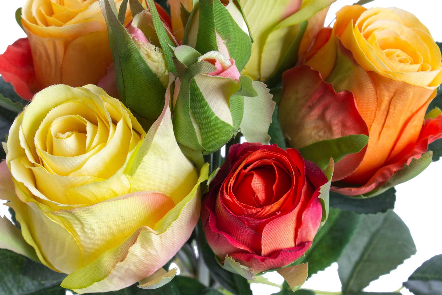 Botanic-Haus Kunstblume »Rosenstrauß mit 5 Rosen und 3 Knospen« auf Raten  kaufen