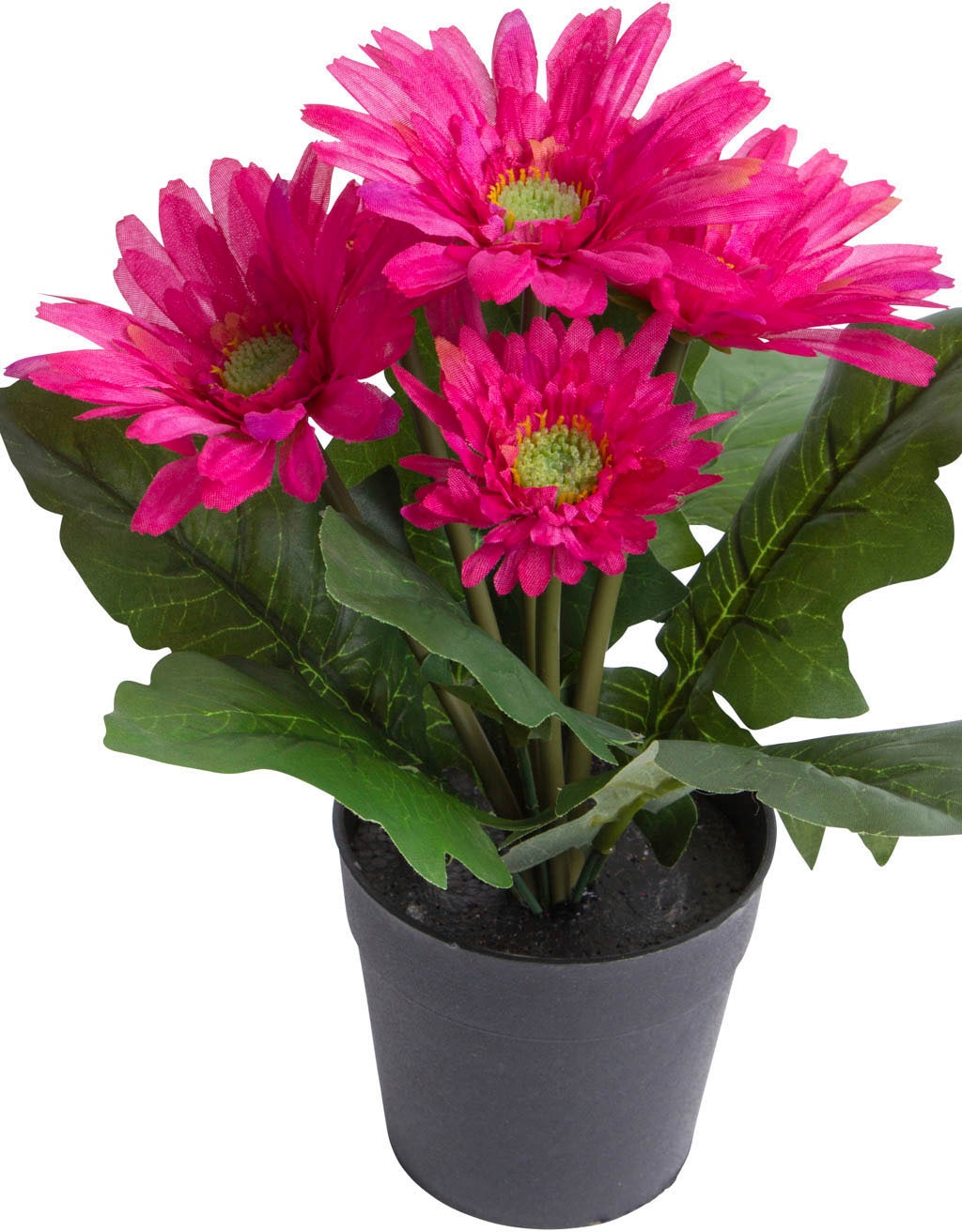 Botanic-Haus Kunstblume »Gerbera mit 5 Blüten« auf Rechnung kaufen