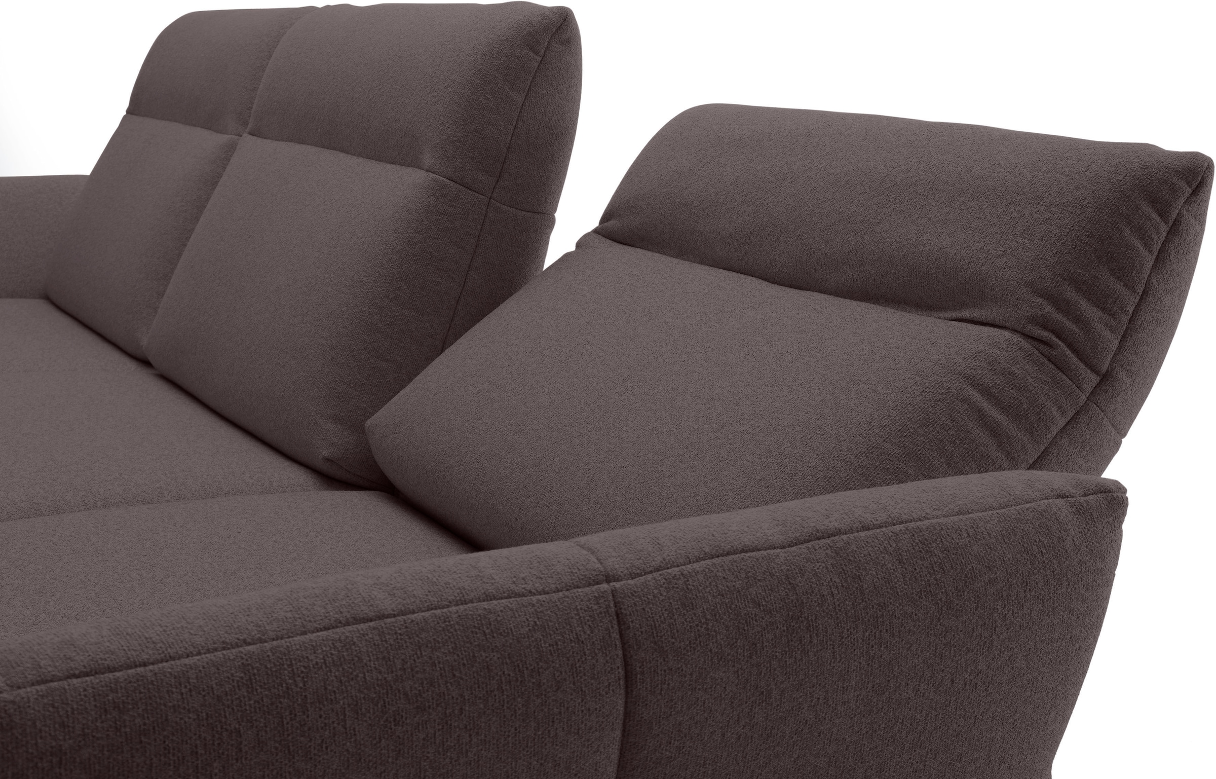 Creation BY ROLF BENZ Ecksofa »CR.460«, Sockel in Eiche, Alugussfüße in umbragrau, Breite 298 cm