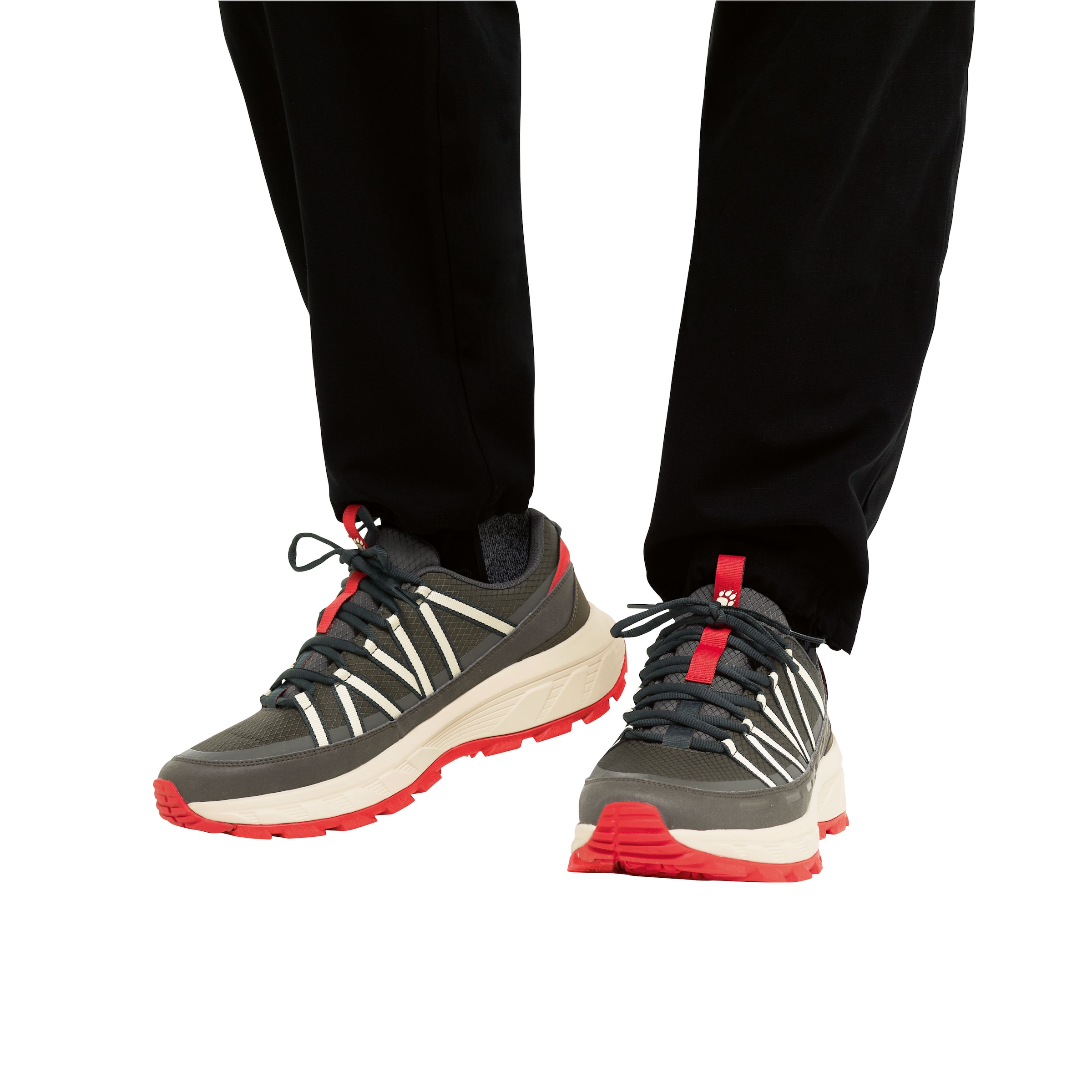 Jack Wolfskin Wanderschuh »WILD HIKE TEXAPORE LOW M«  wasserdicht, Trekkingschuh