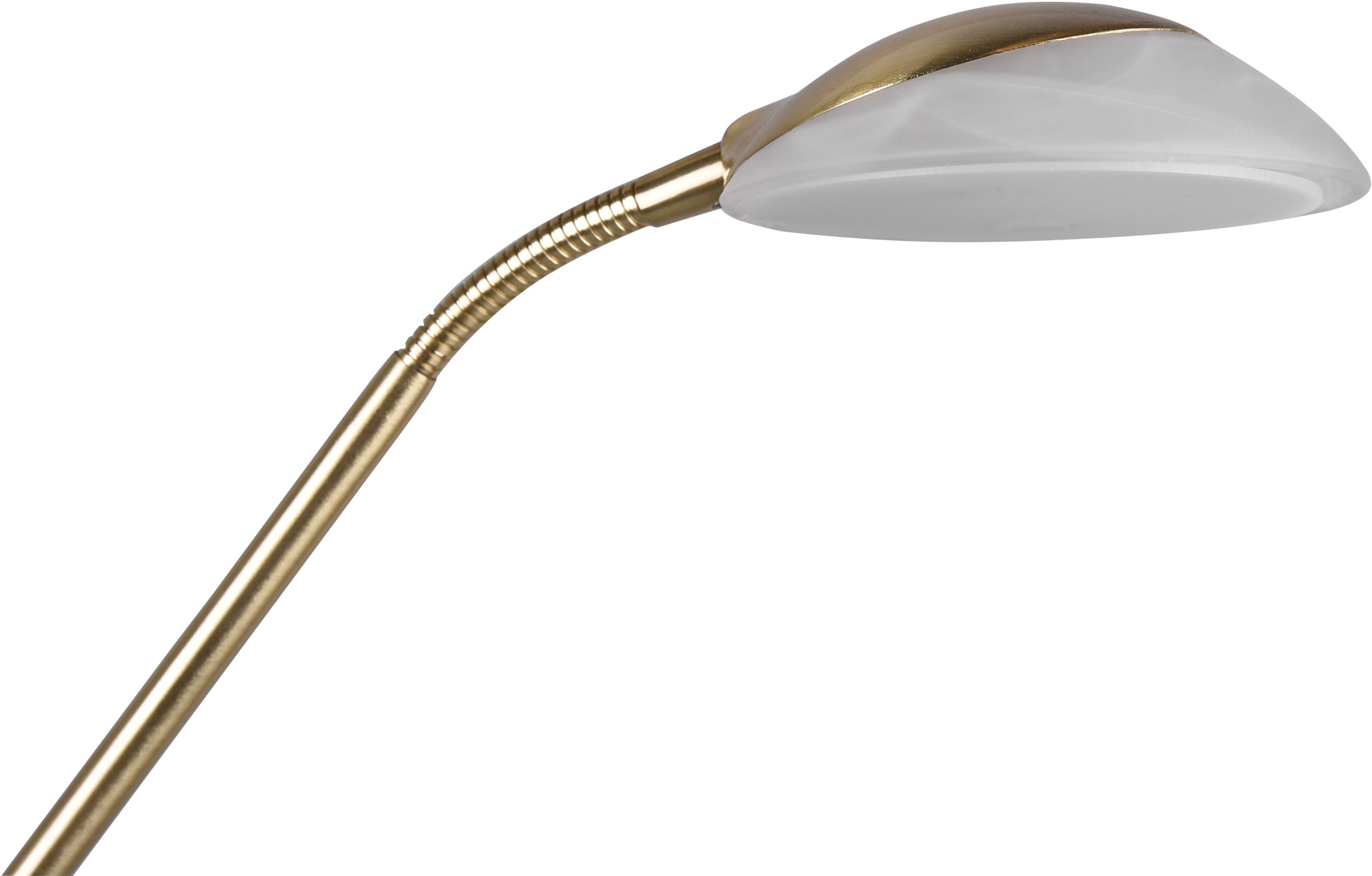 TRIO Leuchten LED Stehlampe »Orson«, 1 flammig-flammig, Getrennt  schaltbar,integrierter Dimmer,Memory Funktion online kaufen | mit 3 Jahren  XXL Garantie