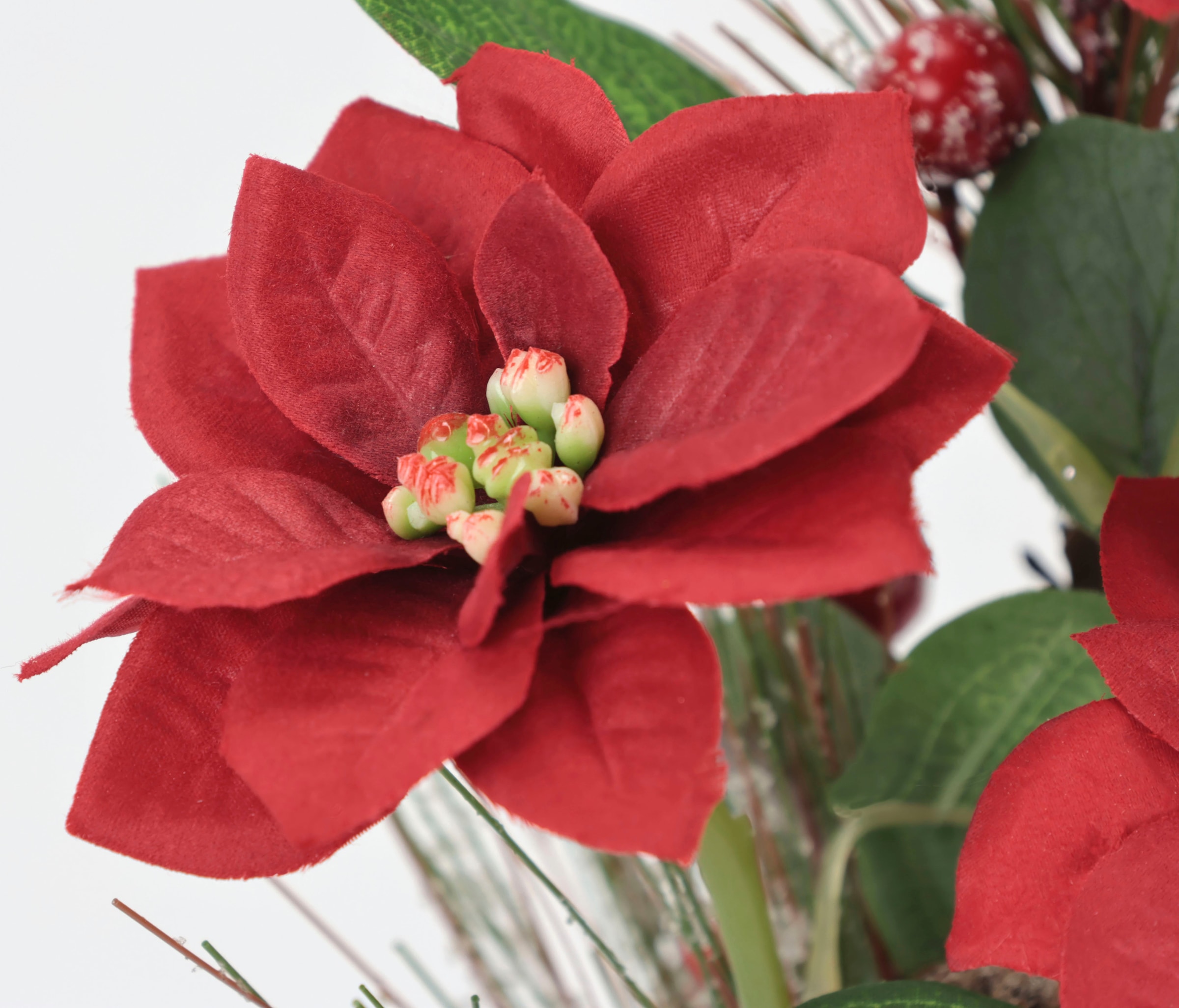 I.GE.A. Winterliche Kunstpflanze mit online Keramikvase,«, Kunstblumen | kaufen Arrangement, Weihnachtsdeko in »Gesteck UNIVERSAL Poinsettia