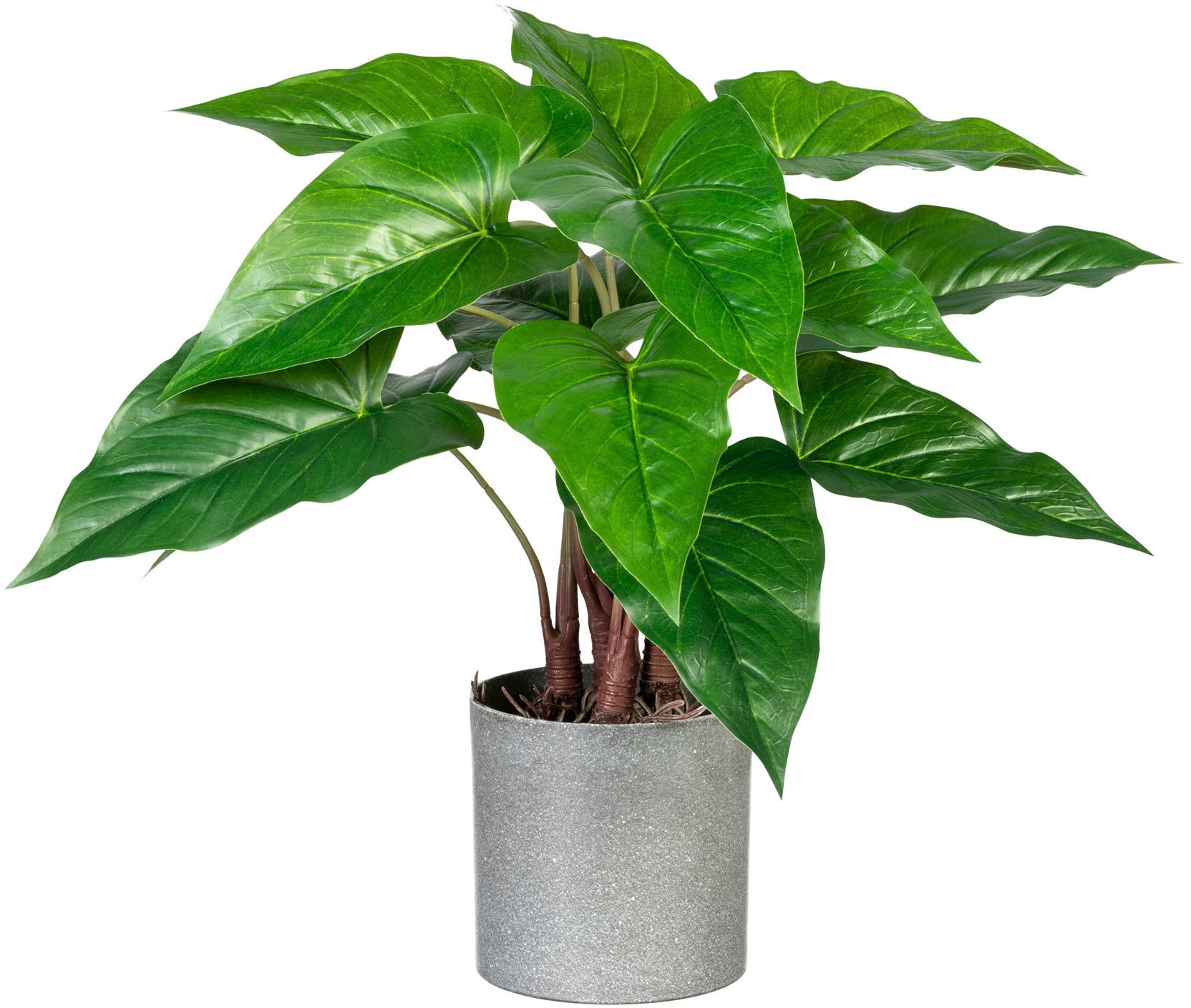 Zimmerpflanze Künstliche »Anthurium«, Creativ green Melamintopf kaufen bequem im