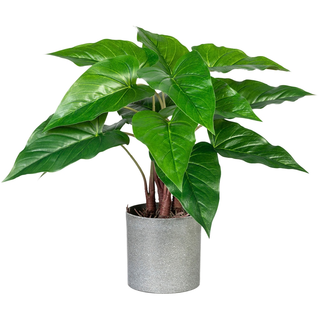 Creativ green Künstliche Zimmerpflanze »Anthurium«