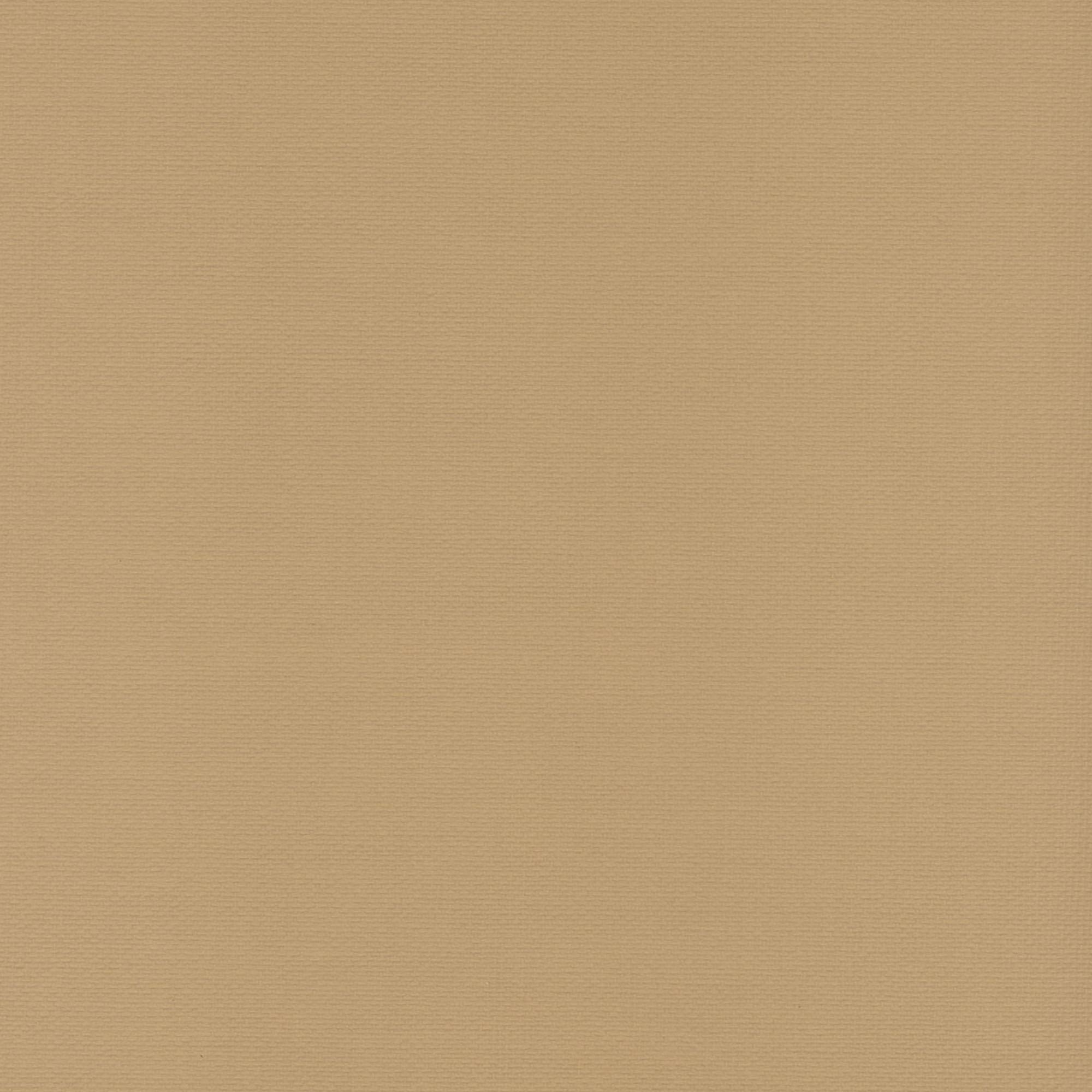 Liedeco Schiebegardine Klettband 1 Stk. tlg. HxB: 245x60, ohne Paneelwagen