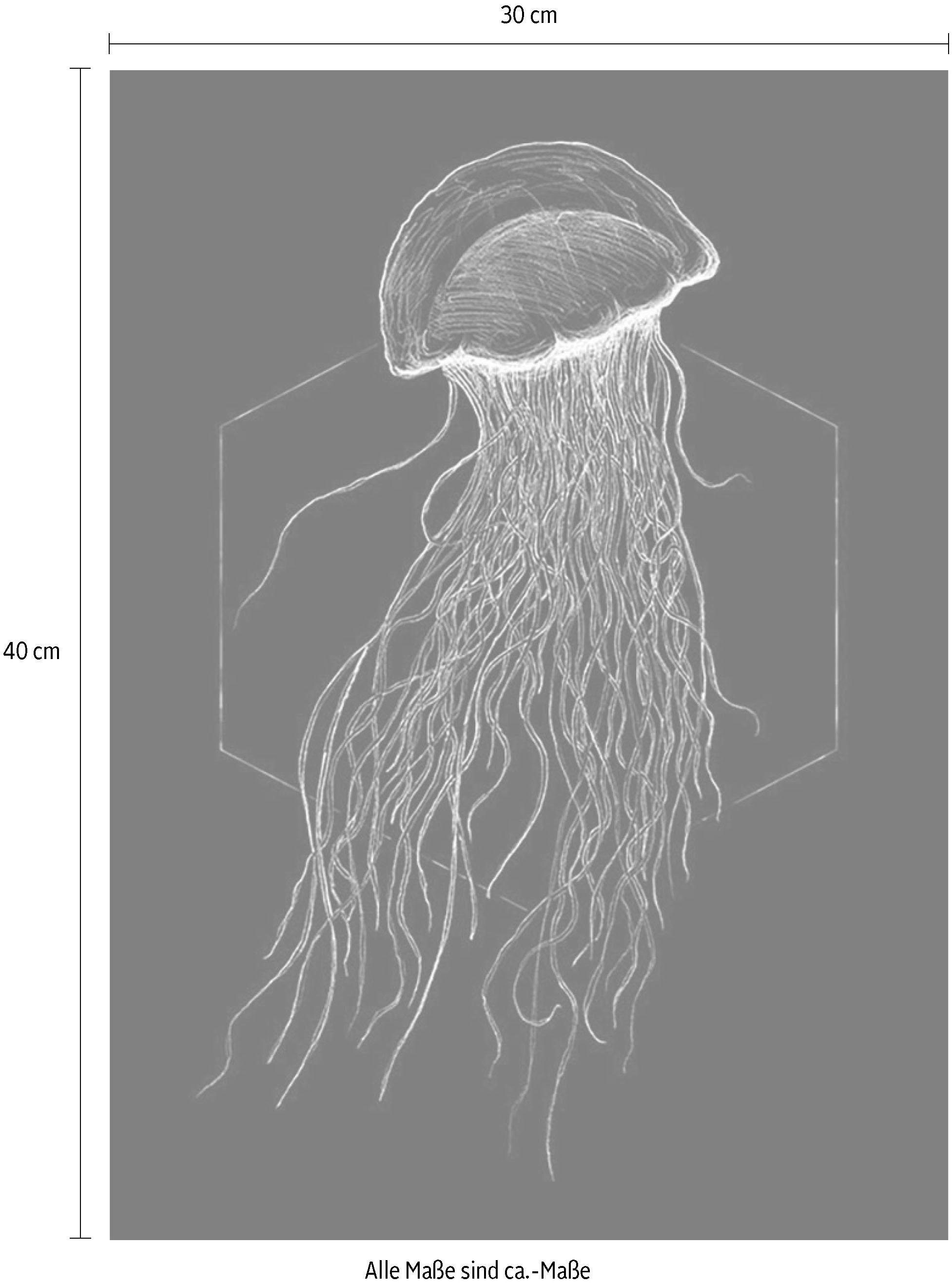 Komar Bild »Jellyfish Black« Tiere 1 Stk. tlg. Wandbild zur Dekoration - ohne Rahmen