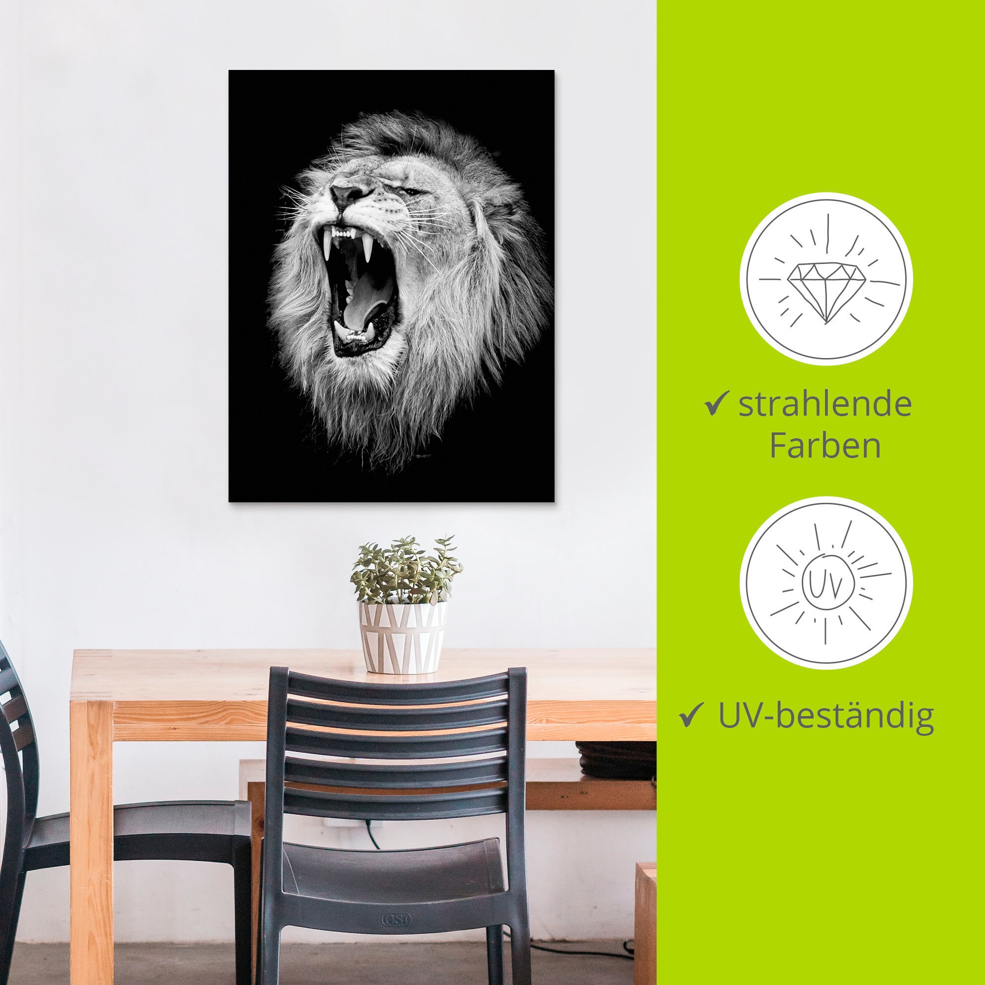 Artland Wandbild »Der Löwe«, Wildtiere, (1 St.), als Alubild, Outdoorbild, Leinwandbild, Poster, Wandaufkleber