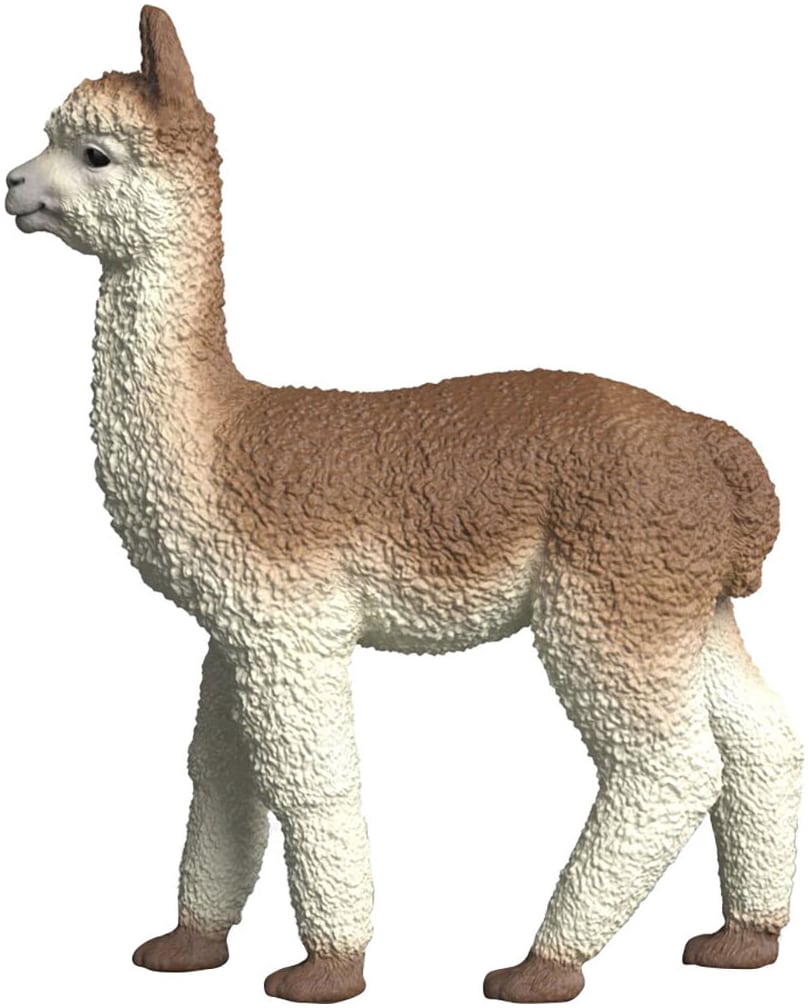 Schleich® Spielfigur »FARM WORLD, Alpaka (14928)«
