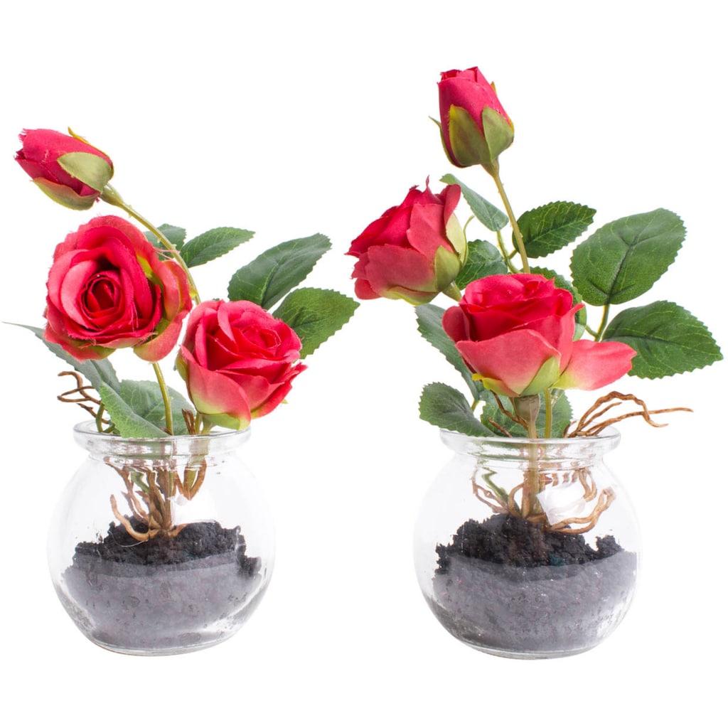 Botanic-Haus Kunstblume »Rosen im Glas«