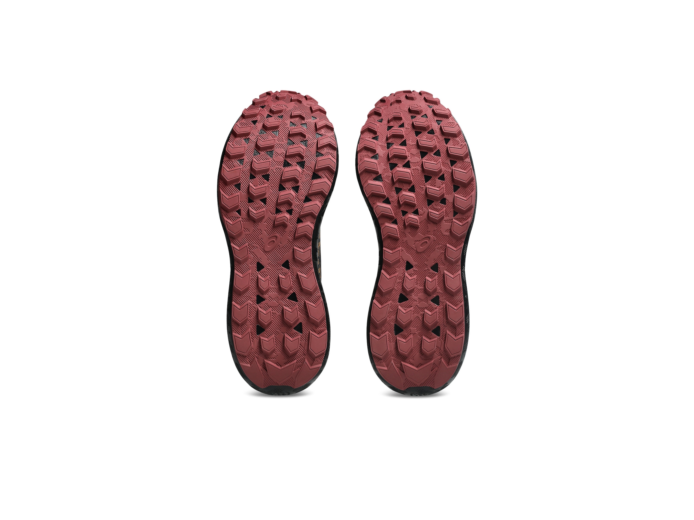 Asics Trailrunningschuh »GEL-SONOMA 8 Gore-Tex«  wasserdicht
