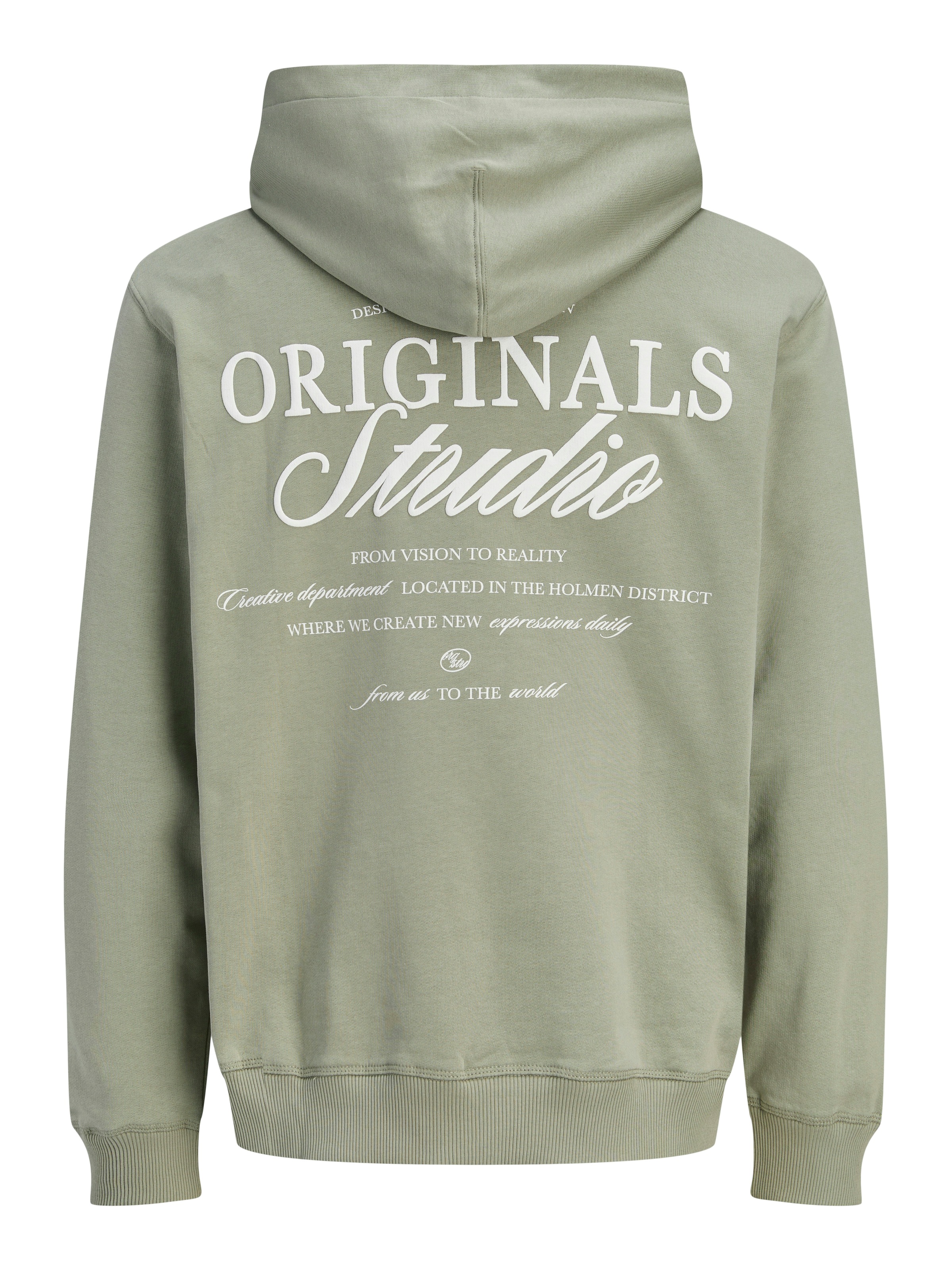 Jack & Jones Kapuzensweatshirt »JORNORREBRO TYPO BACK SWEAT HOOD SN«, mit Print
