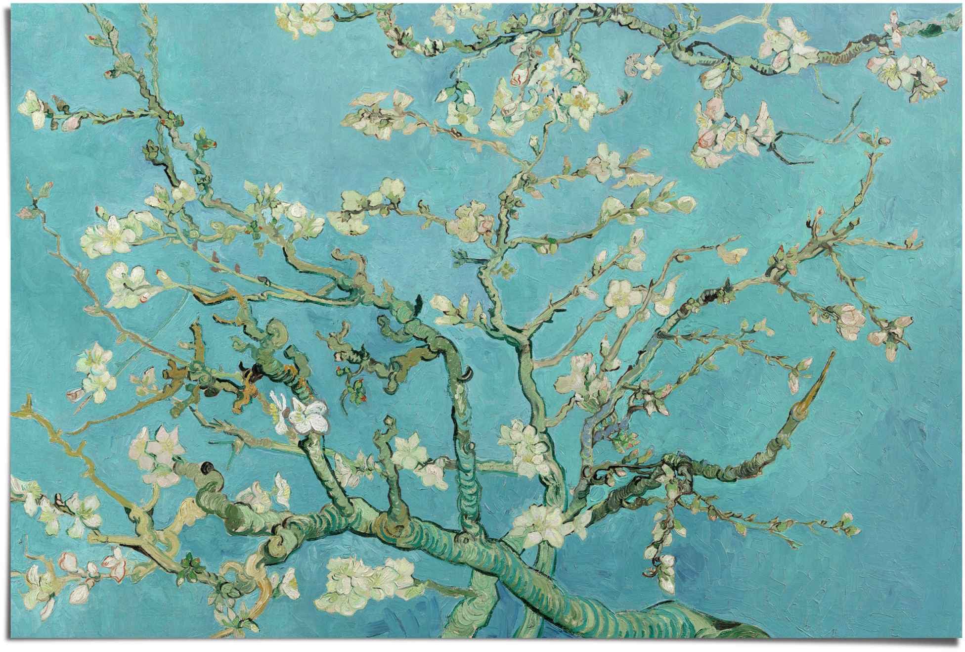 Weltweit Reinders! Poster »Poster Mandelblüte (1 Blumen, van kaufen St.) Vincent bequem Gogh«