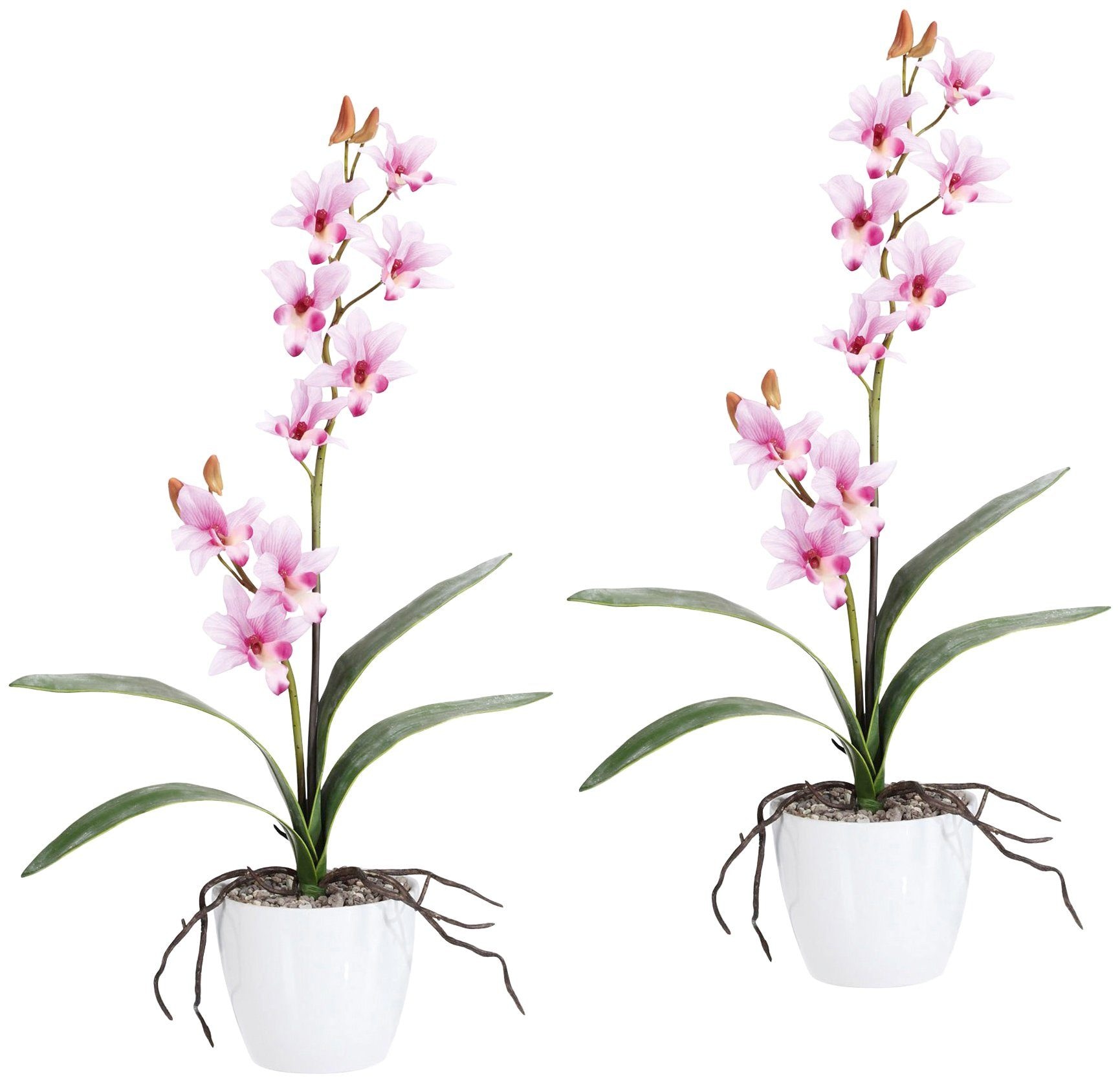 Creativ green Kunstpflanze »Orchidee Dendrobie«, im Keramiktopf online  kaufen | mit 3 Jahren XXL Garantie