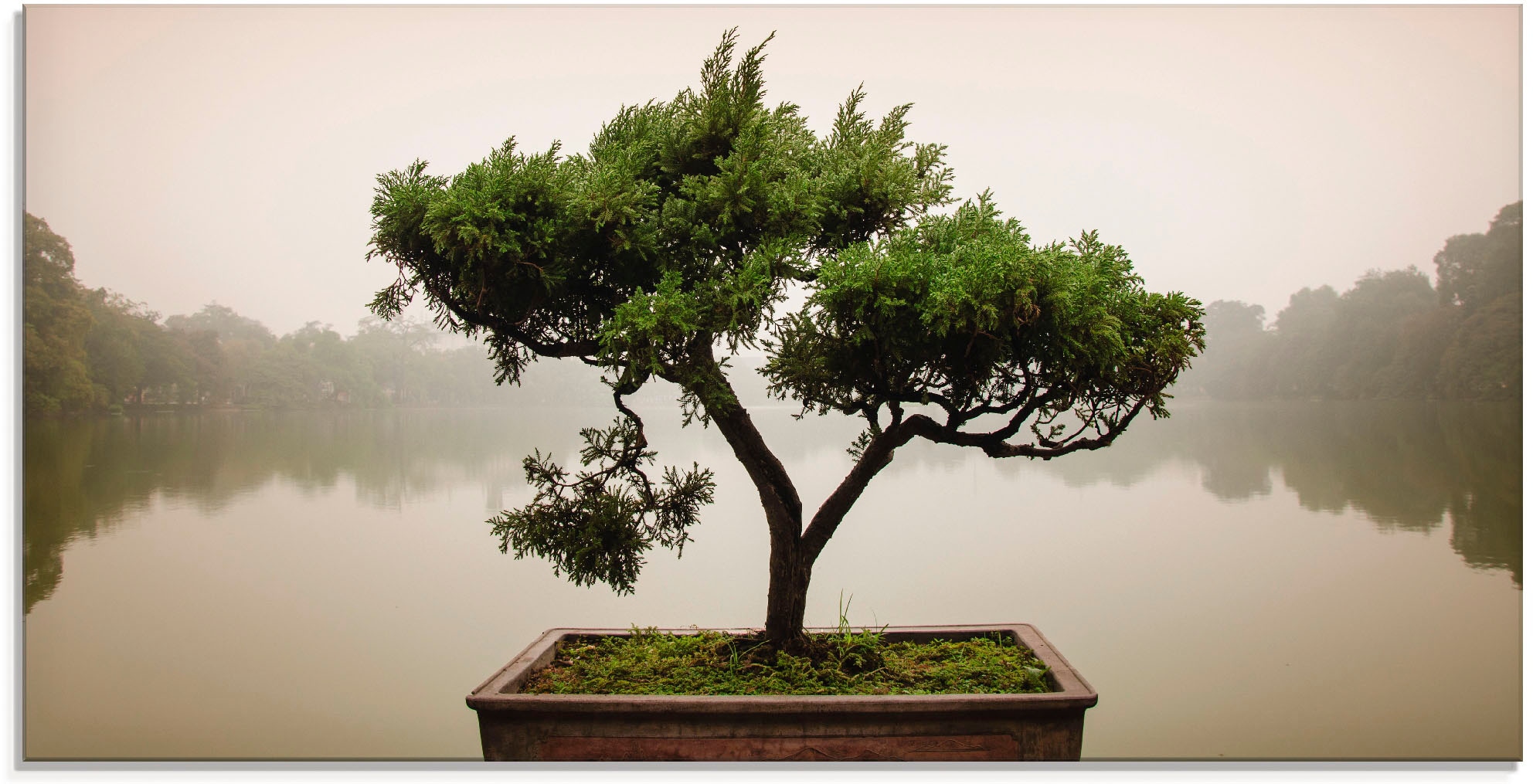 St.), »Chinesischer in kaufen verschiedenen Bonsaibaum«, bequem Glasbild Bäume, (1 Artland Größen