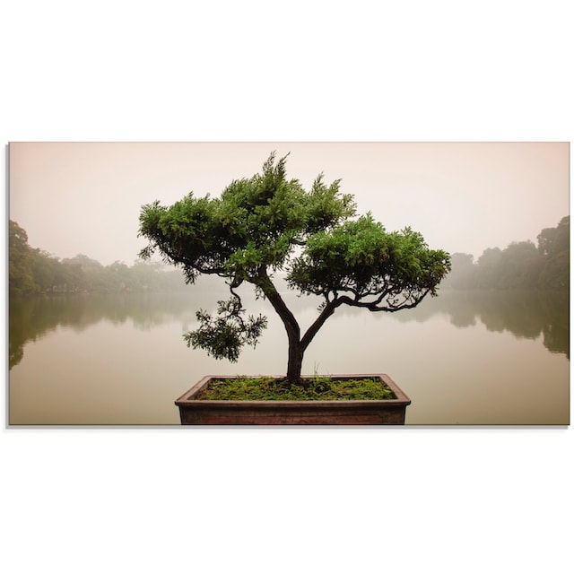 Artland Glasbild »Chinesischer Bonsaibaum«, Bäume, (1 St.), in  verschiedenen Größen bequem kaufen