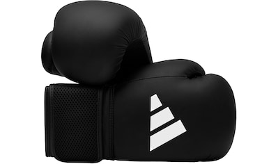 Boxhandschuhe »Hybrid 25«