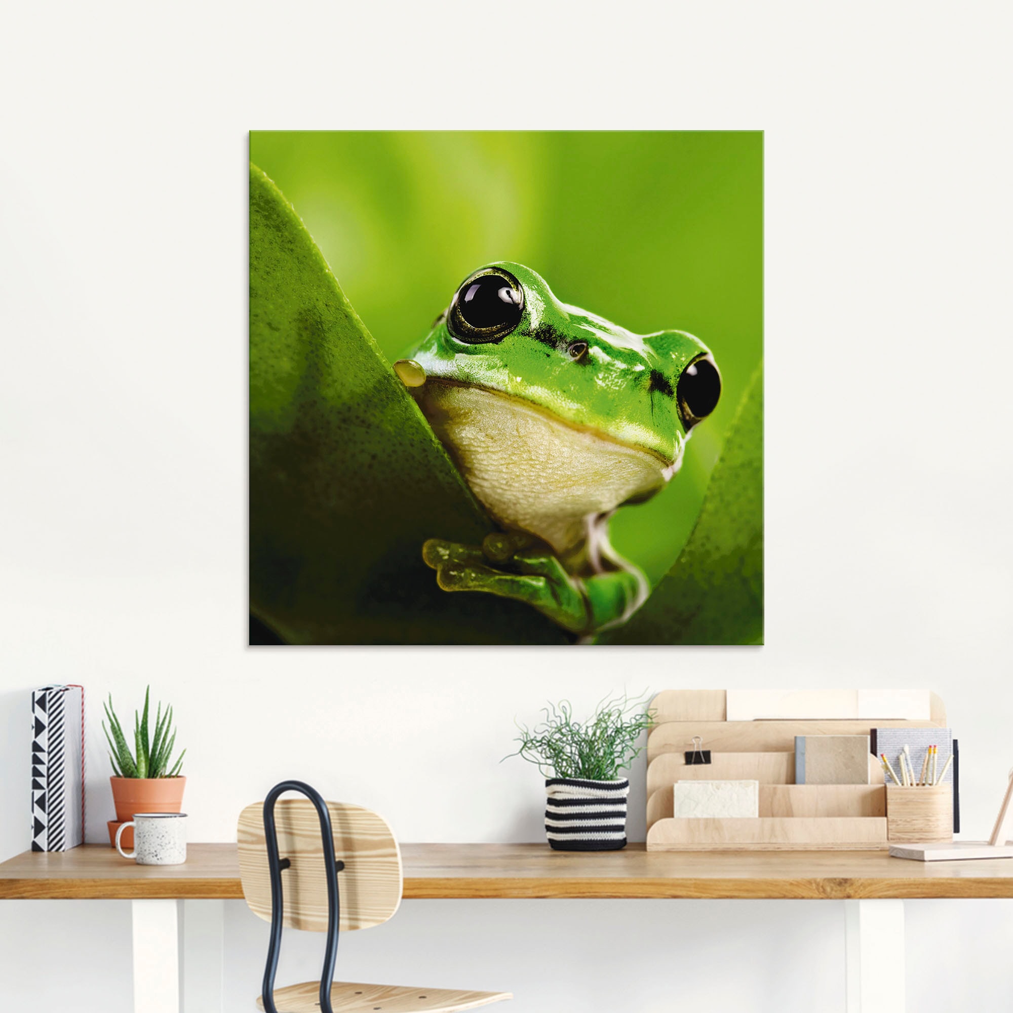 Artland Glasbild »Ausspähender Frosch«, Wassertiere, (1 St.), in verschiedenen Größen