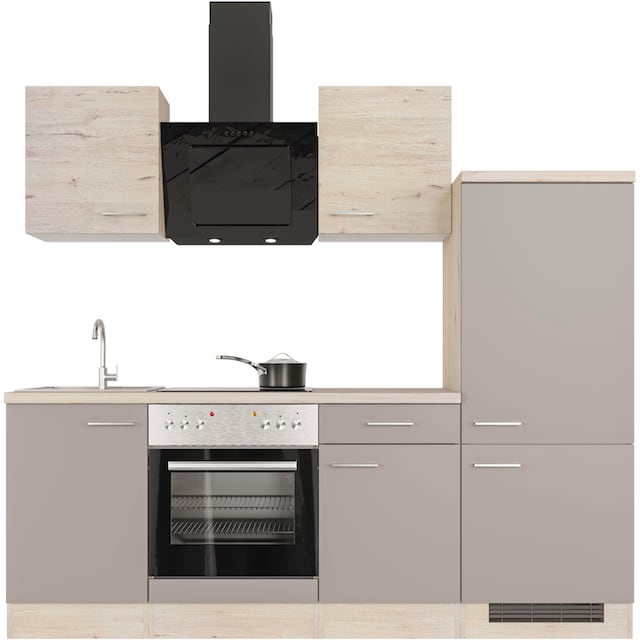 Flex-Well Küche »Riva«, mit E-Geräten, Breite 220 cm, in vielen  Farbvarianten erhältlich auf Rechnung bestellen