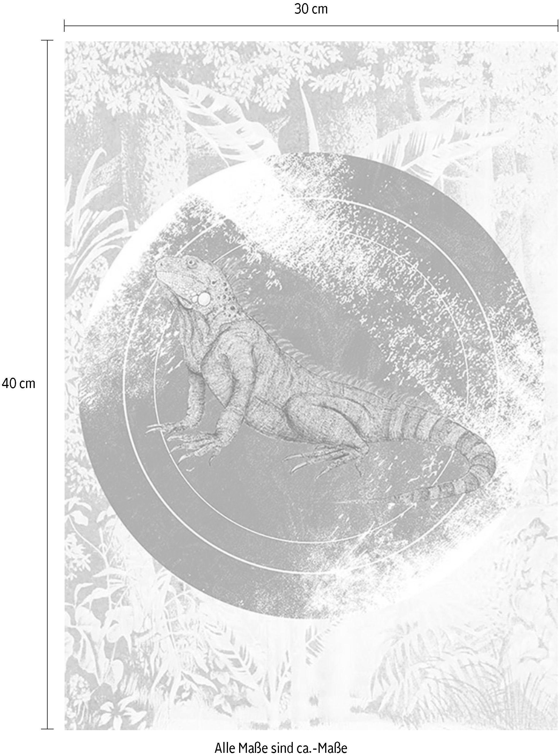 Komar Bild »Iguana Circle« Tiere 1 Stk. tlg. Wandbild zur Dekoration - ohne Rahmen