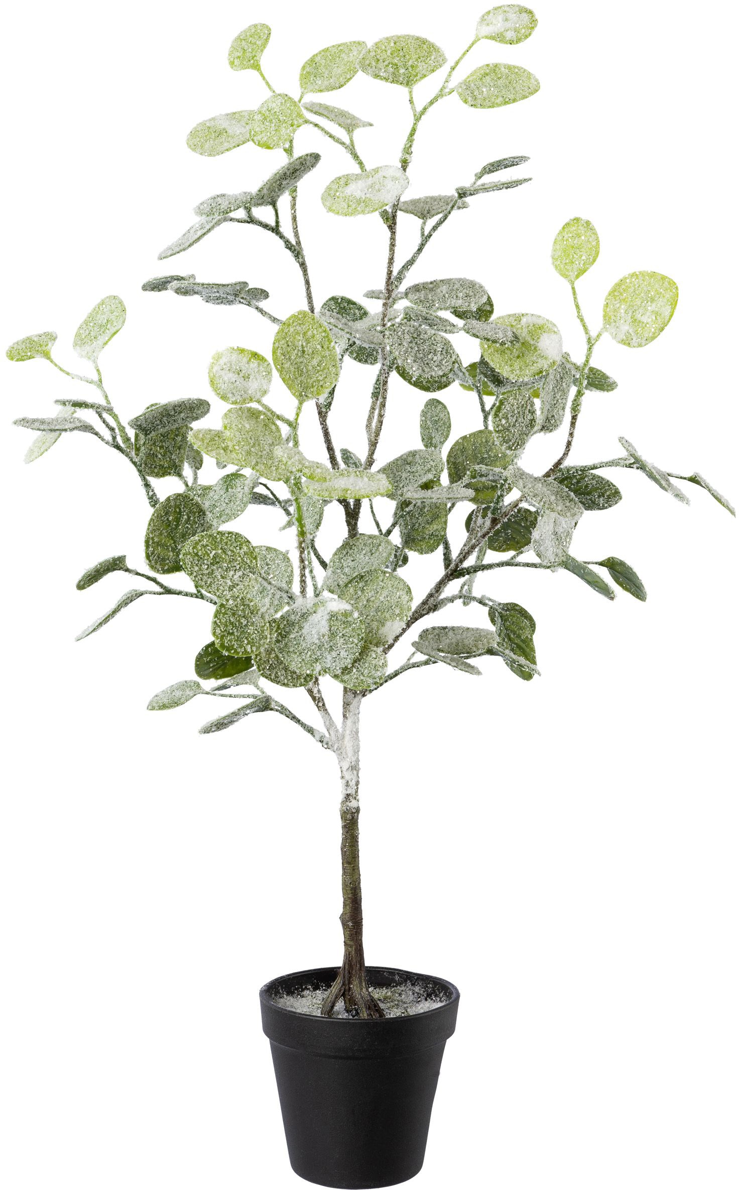 Künstlicher Frost-Optik »Weihnachtsdeko«, online Weihnachtsbaum Creativ mit kaufen green
