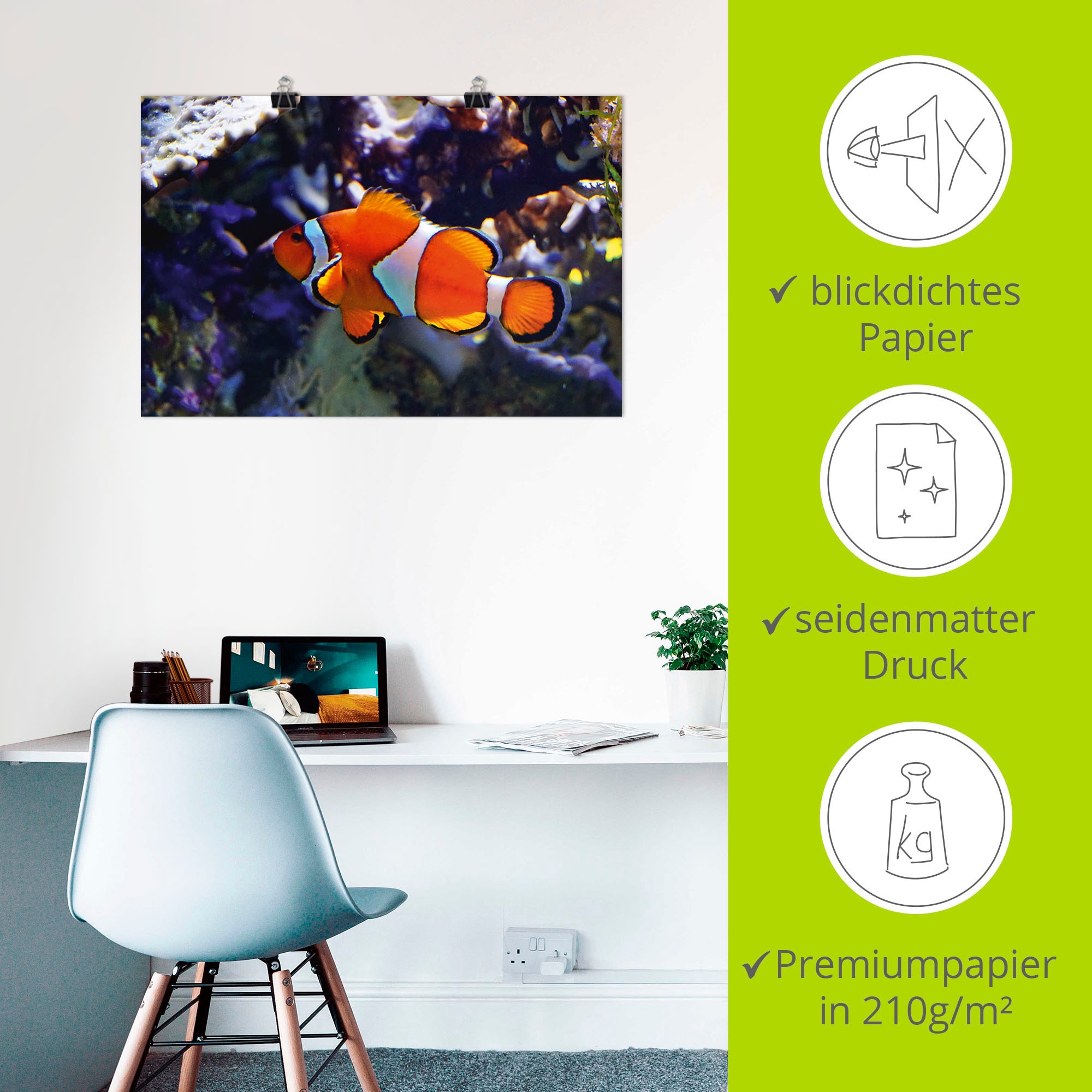 Artland Wandbild »Clownfisch«, Wassertiere, (1 St.), als Alubild, Leinwandbild, Wandaufkleber oder Poster in versch. Größen