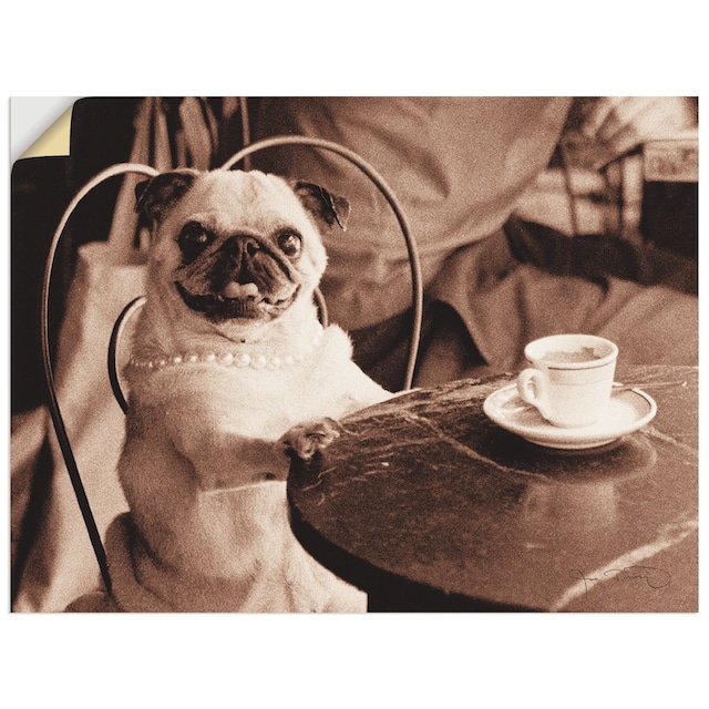 Artland Wandbild »Kaffee Mops«, Haustiere, (1 St.), als Leinwandbild,  Wandaufkleber oder Poster in versch. Größen bequem kaufen
