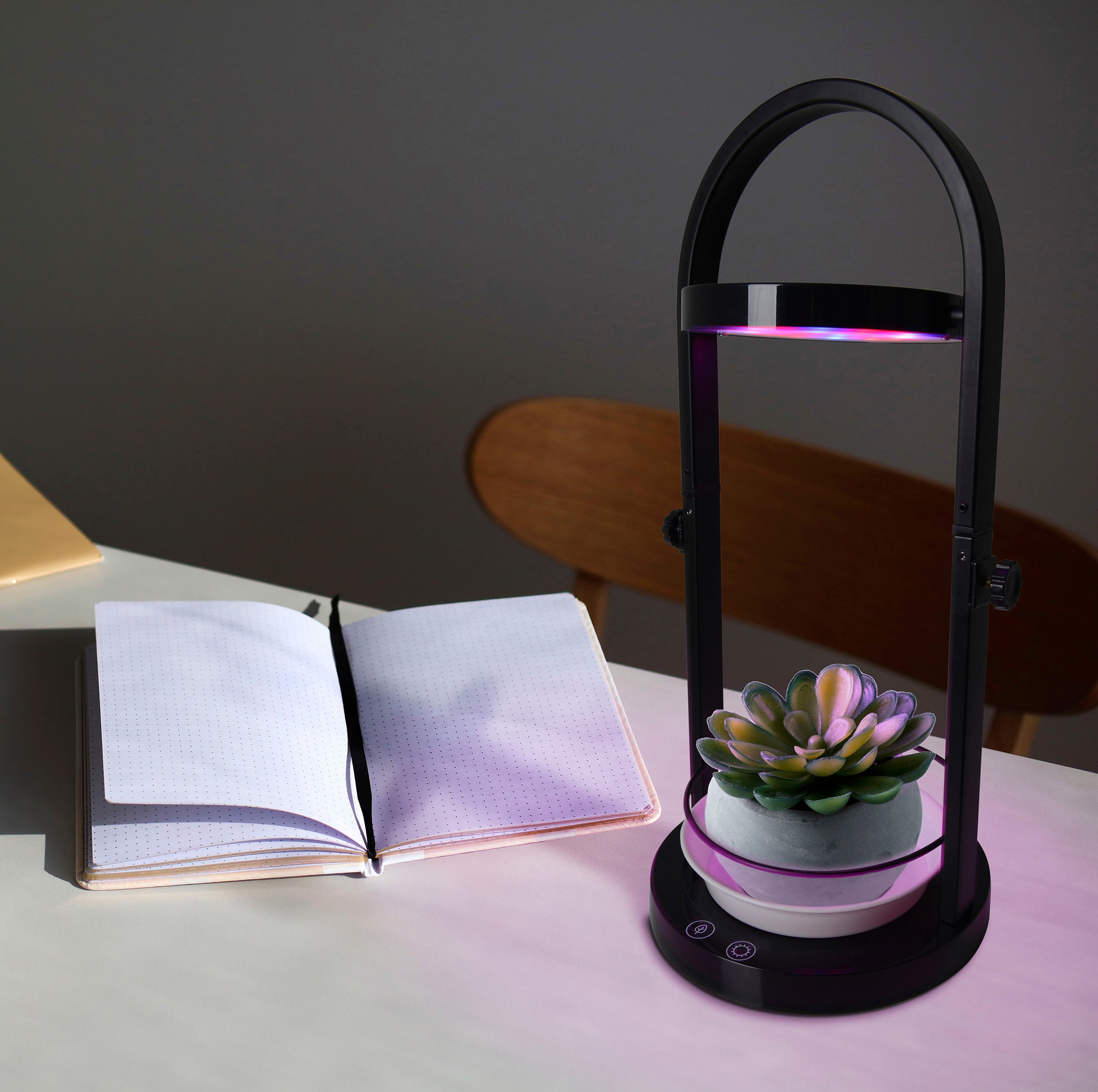 näve LED Tischleuchte »Grow Light«, 1 flammig, Wachstumsleuchte, USB-Kabel, höhenverstellbar, schwarz