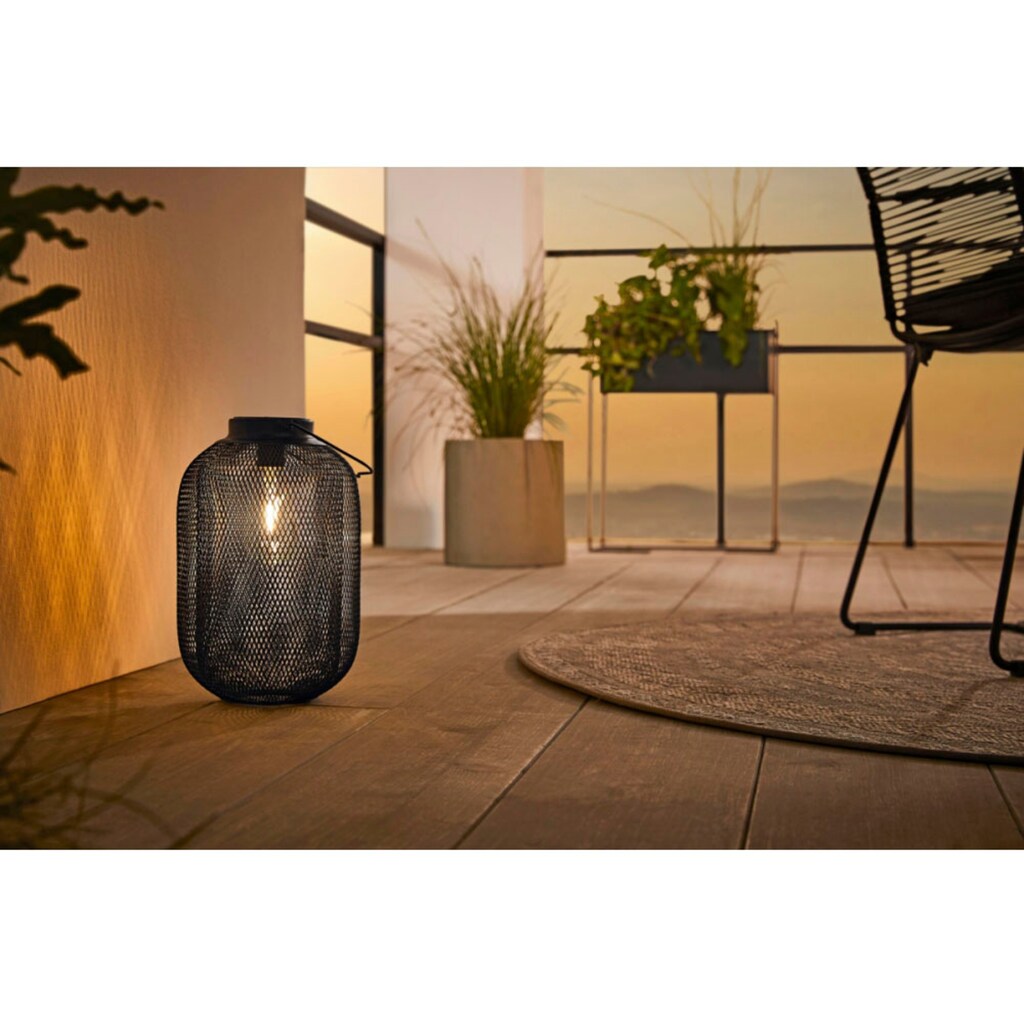Schneider LED Solarleuchte »Levanzo«